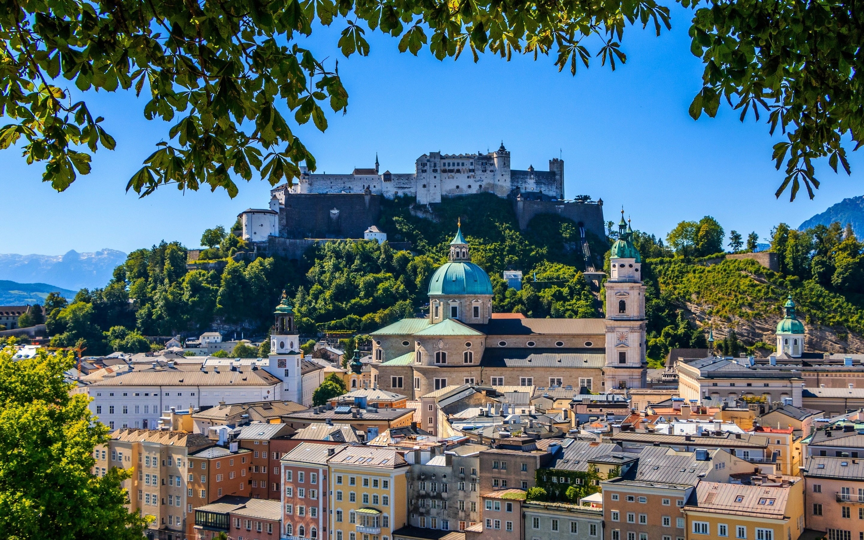 Cathedral, Austria, Salzburg, Houses, concrete, 2K, leaf, green, trees, HD Wallpaper