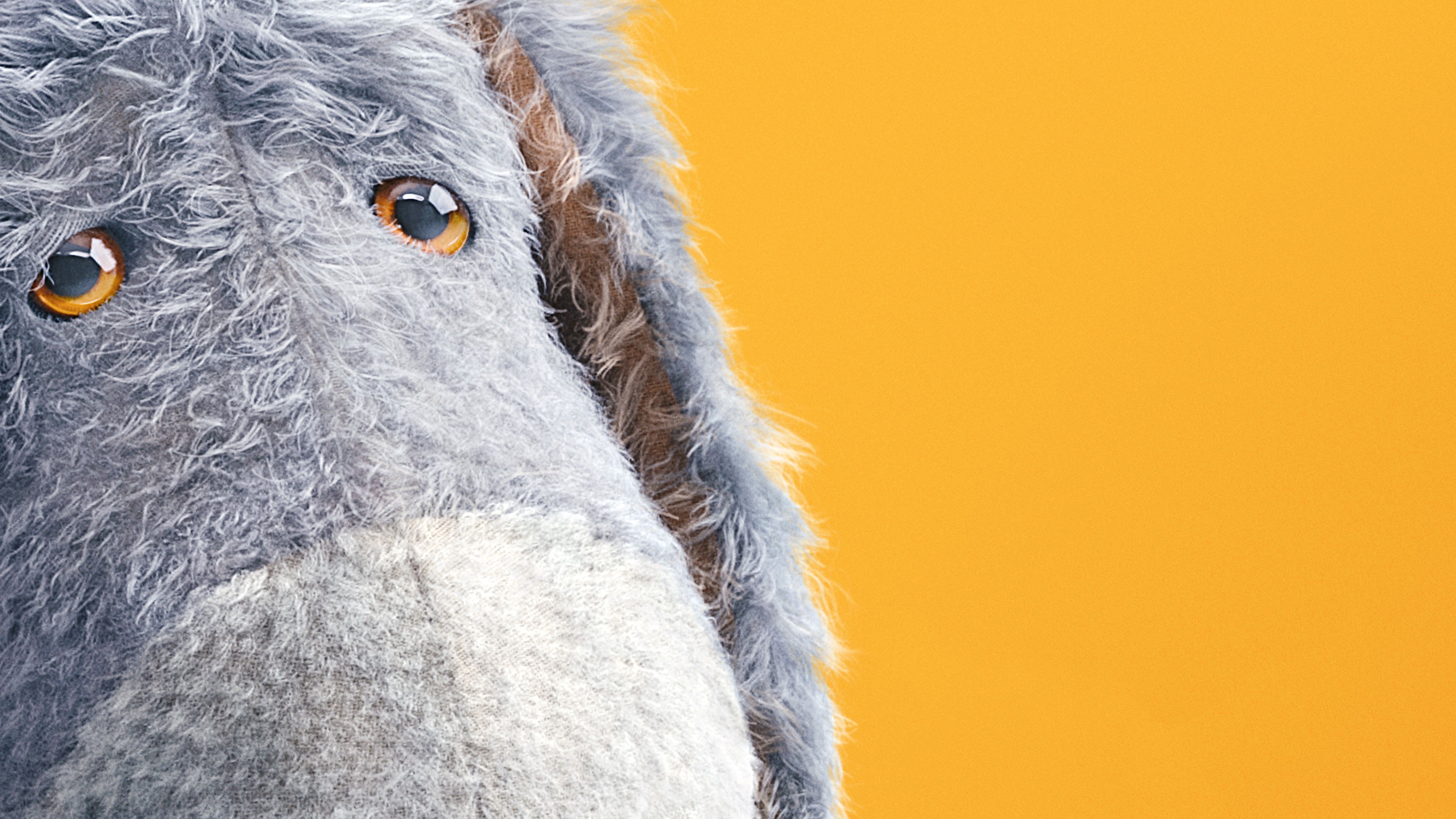 no people, body part, vertebrate, disney, portrait, 5K, mammal, one animal, outdoors, animal wildlife, close-up, eeyore, movies, 5k, beak, 2018 movies, HD Wallpaper