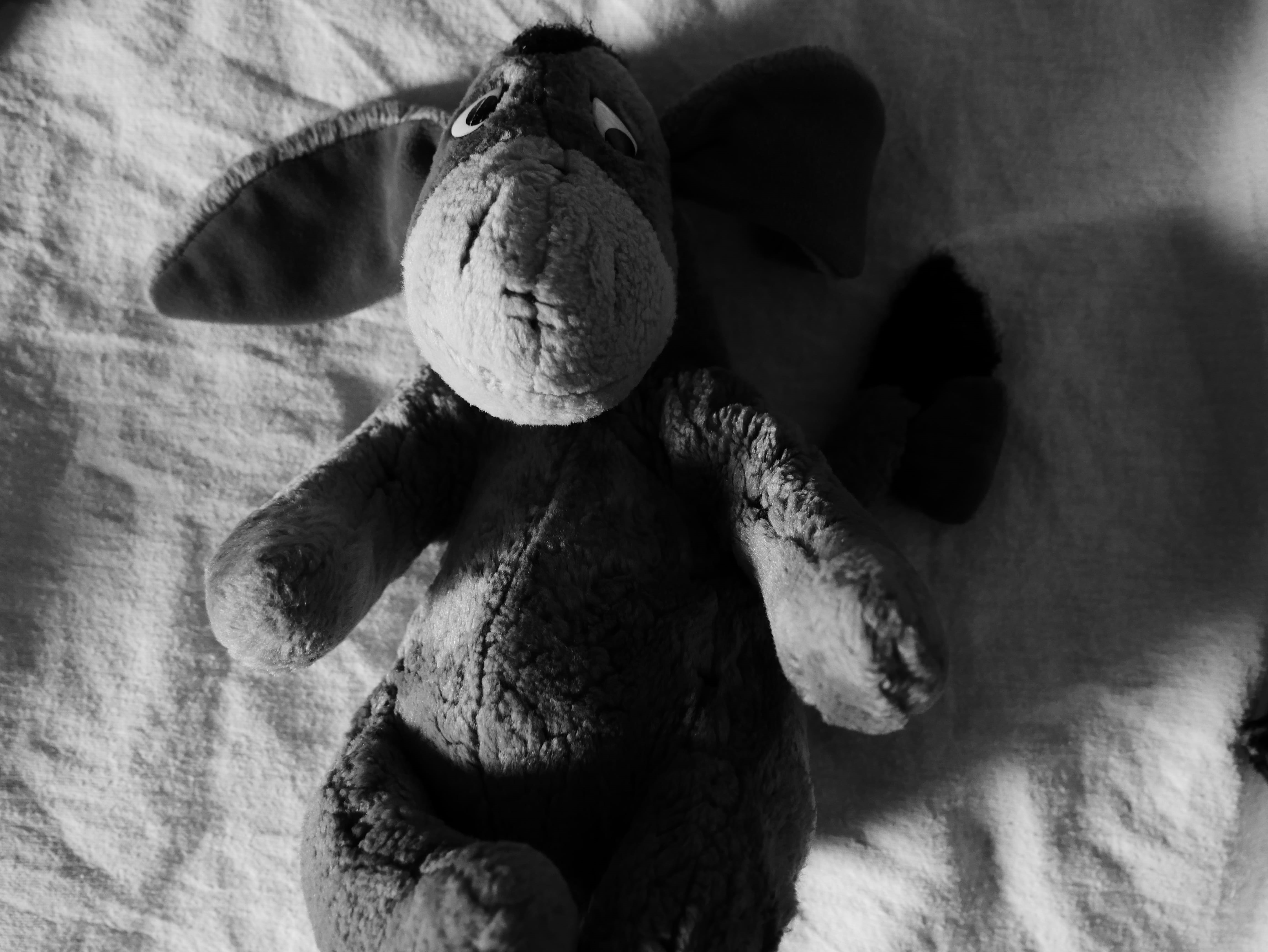 stuffed toy, mammal, Toy, close-up, black And White, wood - material, craft, indoors, directly above, art and craft, white, black, White, 4K, still life, HD Wallpaper
