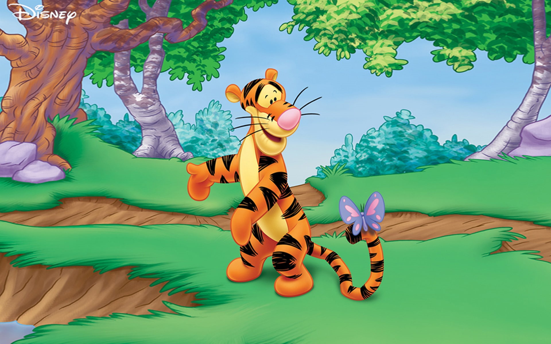winnie, butterfly, cartoon, tigger, 1080P, disney, hd, pooh, HD Wallpaper