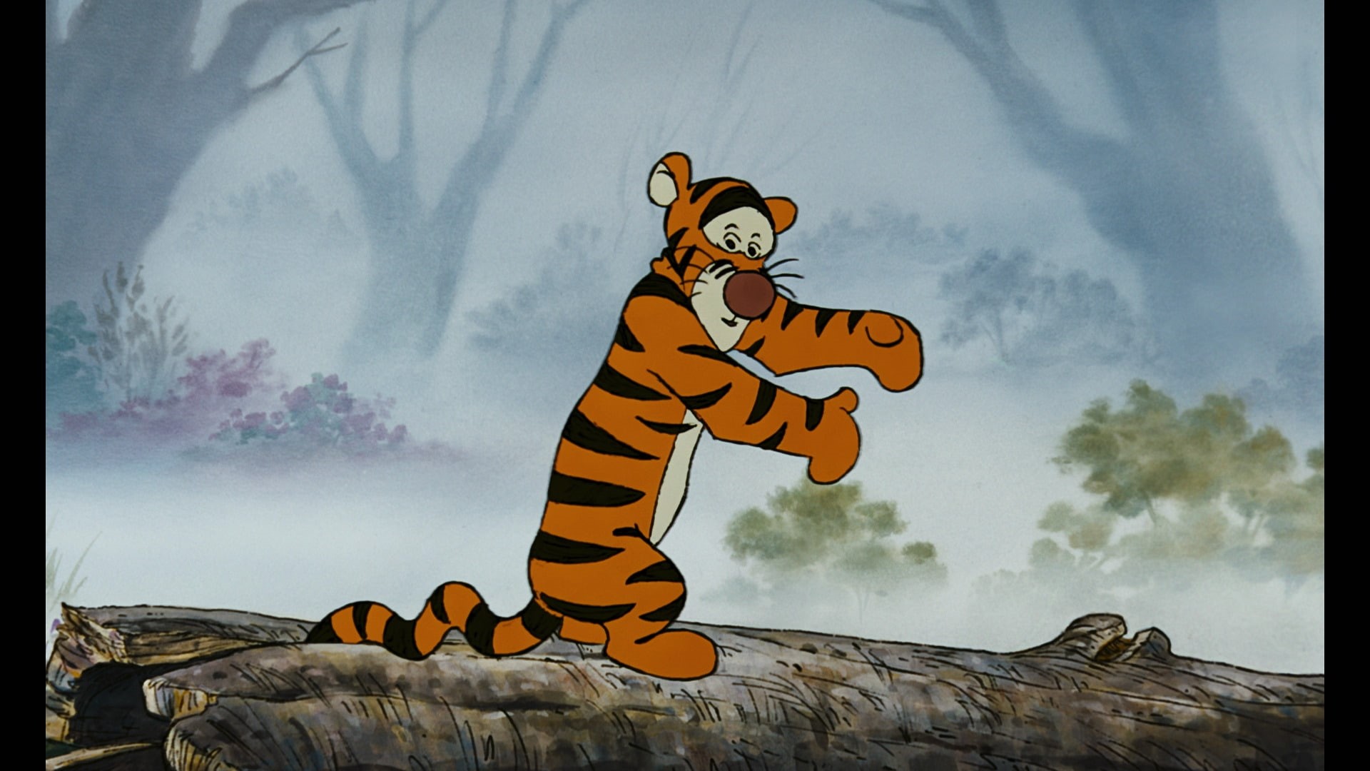 cloud - sky, tiger, mammal, 1080P, The Many Adventures Of Winnie The Pooh, adult, travel destinations, one person, day, nature, Movie, sport, communication, HD Wallpaper