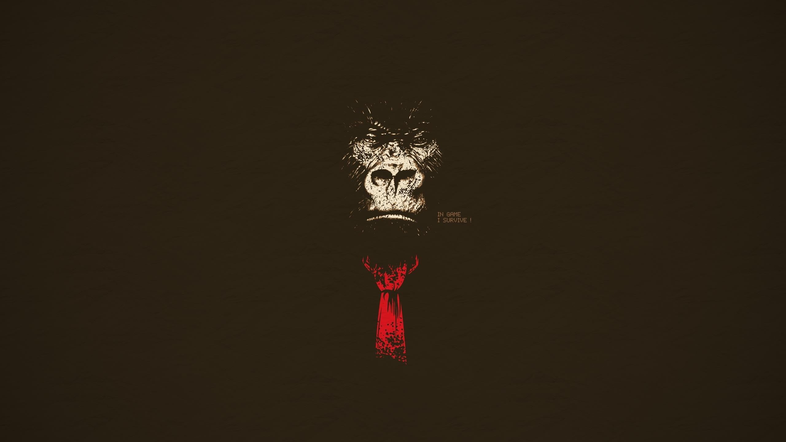animal themes, copy space, mammal, dark, animal representation, evil, 2K, black background, no people, close-up, one animal, animal, minimalism, single object, HD Wallpaper