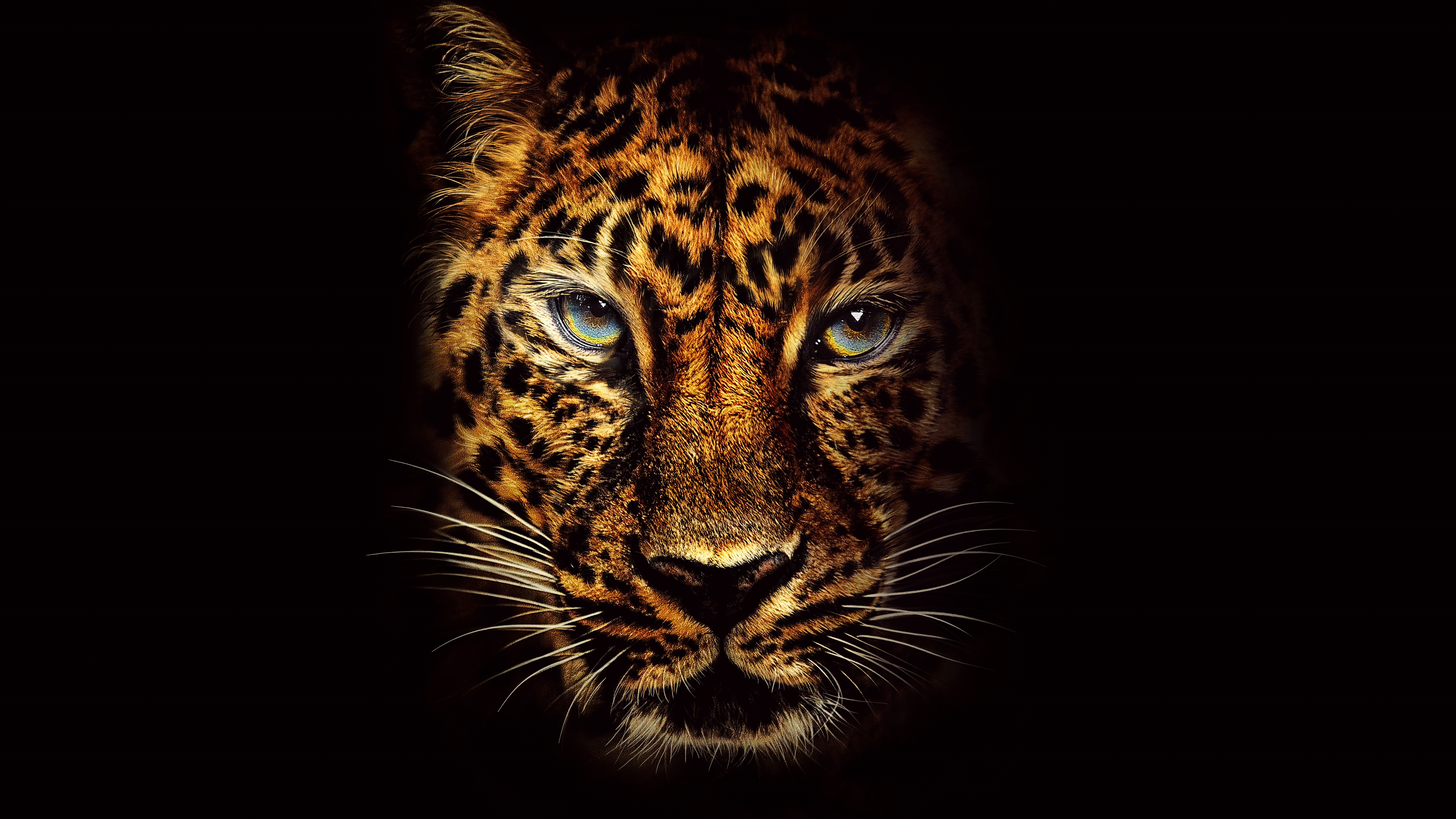 Jaguar, 8K, 4K, Jumanji: Welcome to the Jungle, 8K, HD Wallpaper