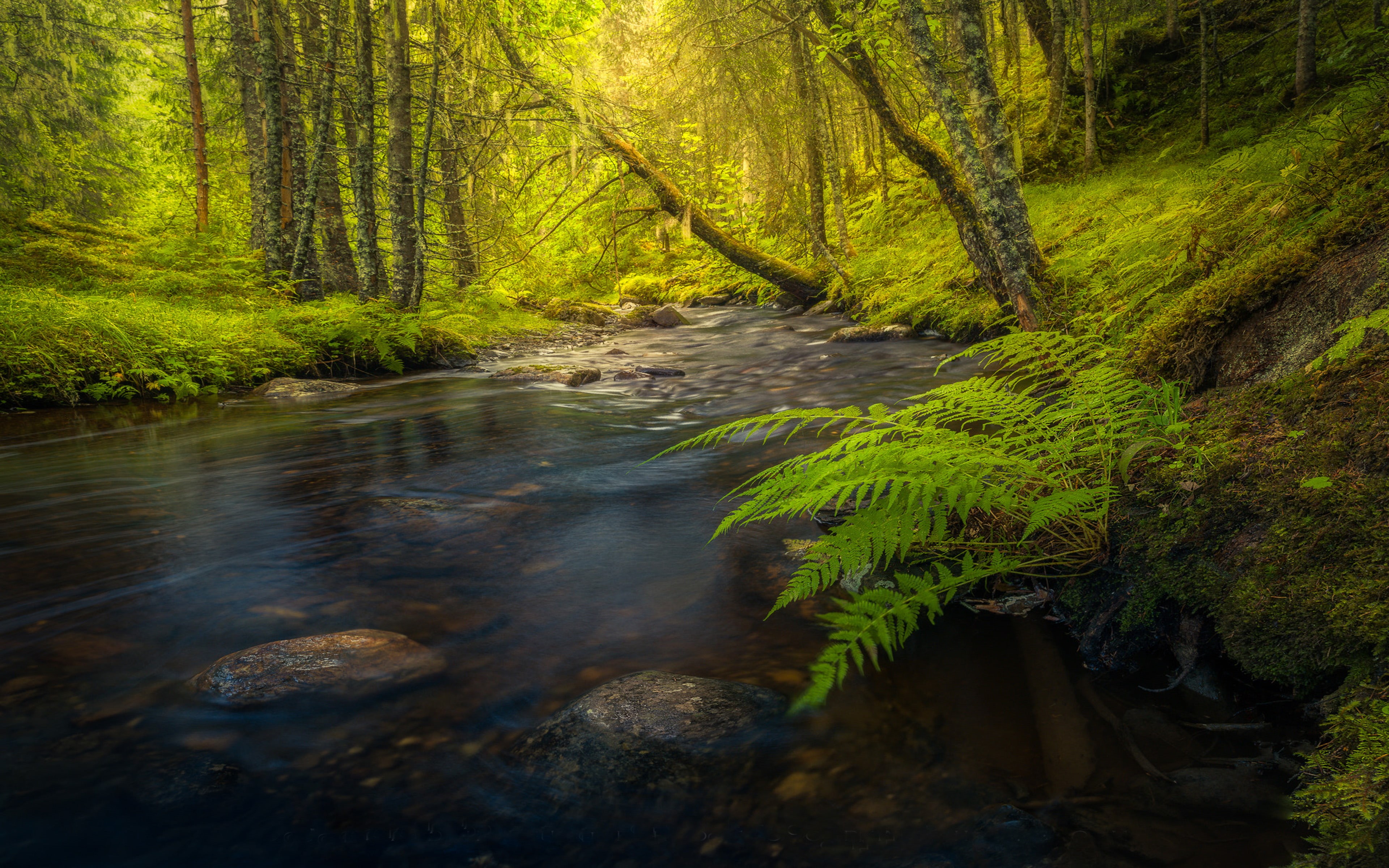 stream, norway, city, near, globe, nature, photography, landscape, central, 4K, small, trondheim, HD Wallpaper