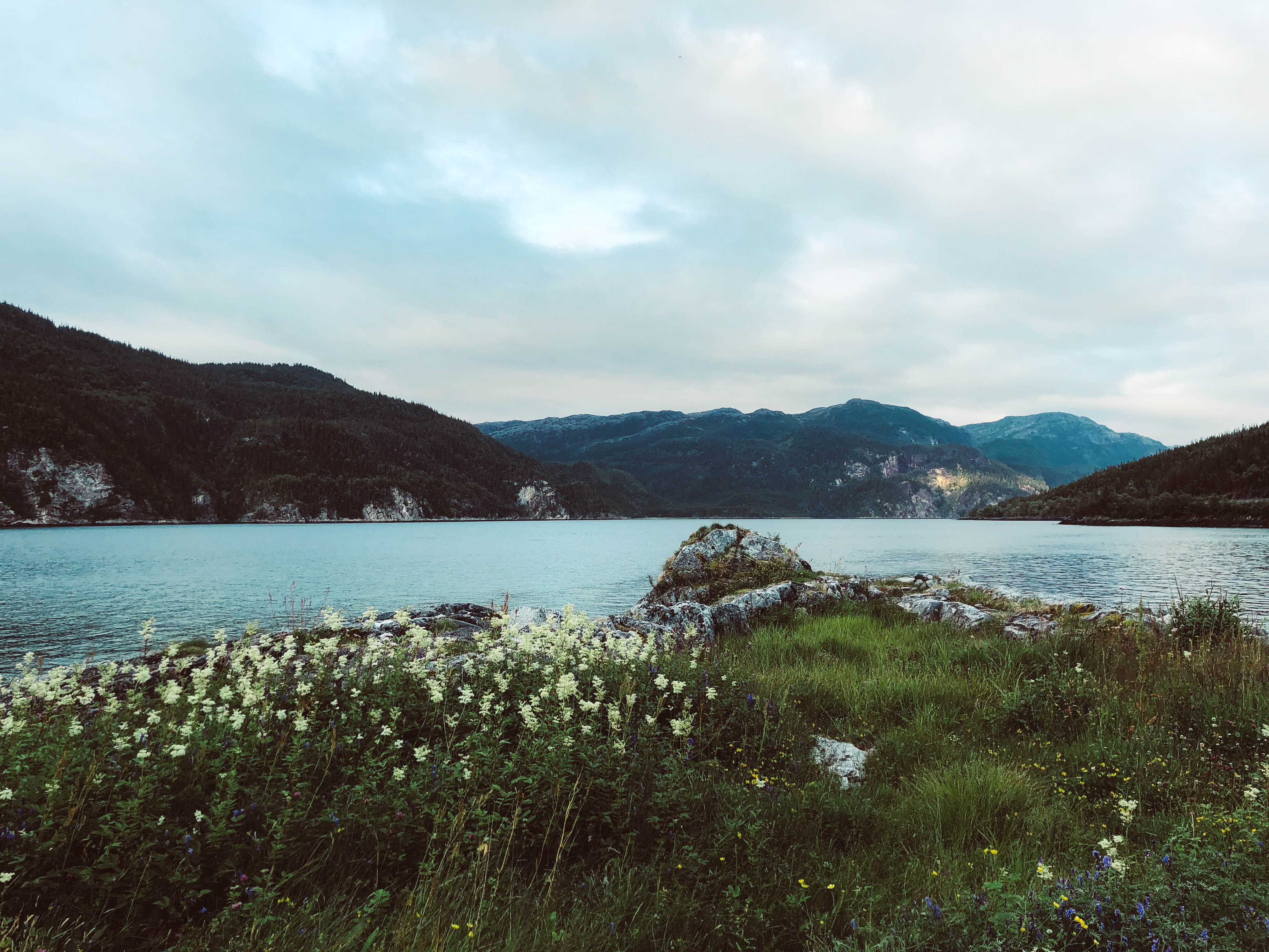 day, environment, lake, norway, sea, rock, scandinavia, tranquility, fjord, scenics - nature, grass, water, plant, non-urban scene, landscape, trondheim, HD Wallpaper