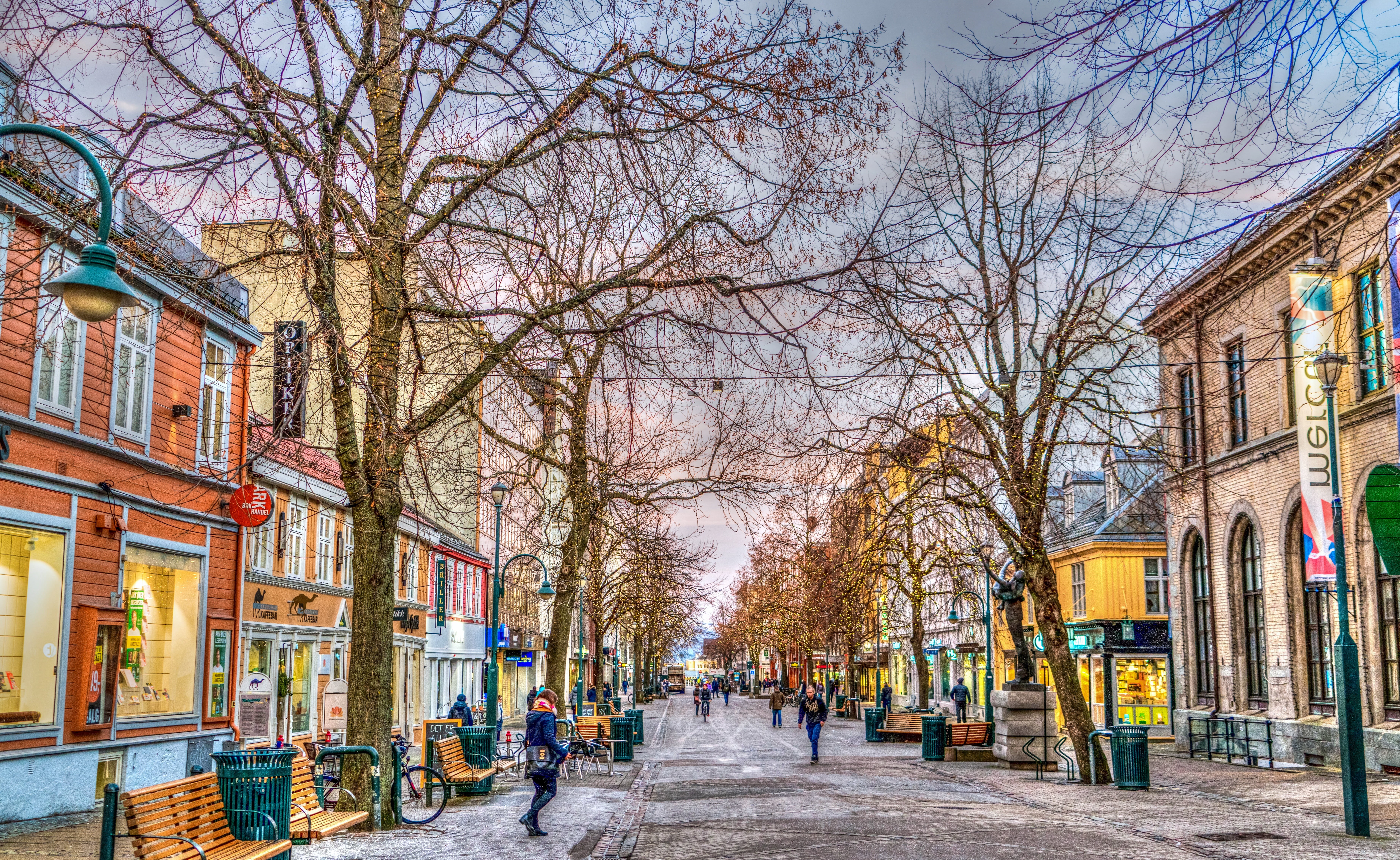 plant, city, people, outdoors, the way forward, norway, street, focus on foreground, day, architecture, scenery, building, colorful, tourism, bare tree, HD Wallpaper