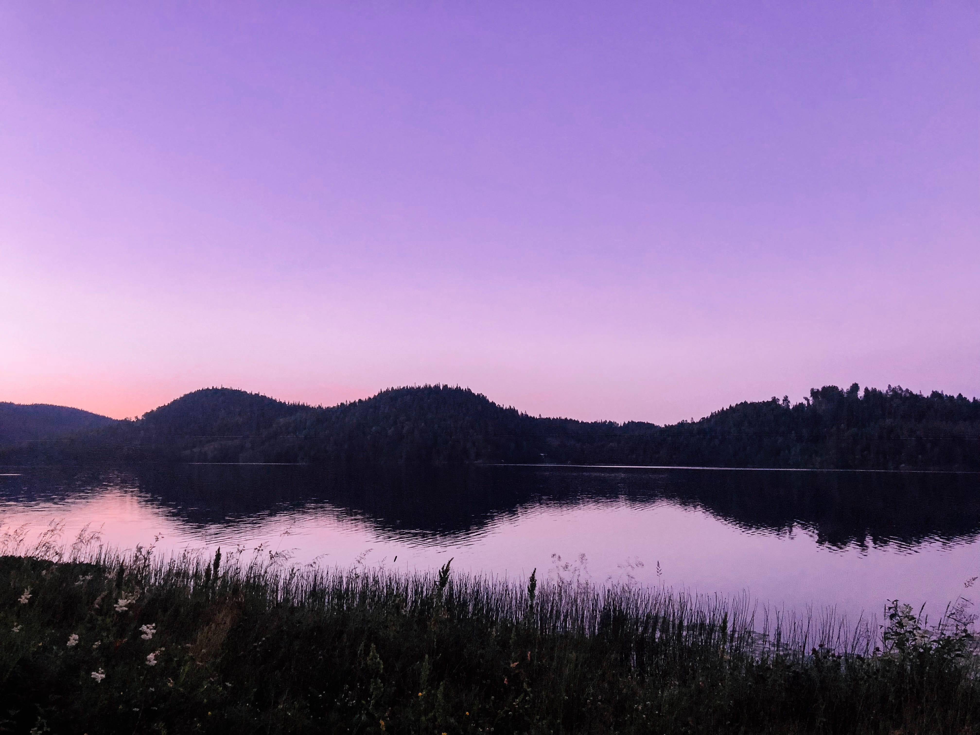 mirror, tranquility, lake, sunset, tree, environment, clear sky, landscape, forest, sky, water, pink color, scenics - nature, outdoors, non-urban scene, HD Wallpaper