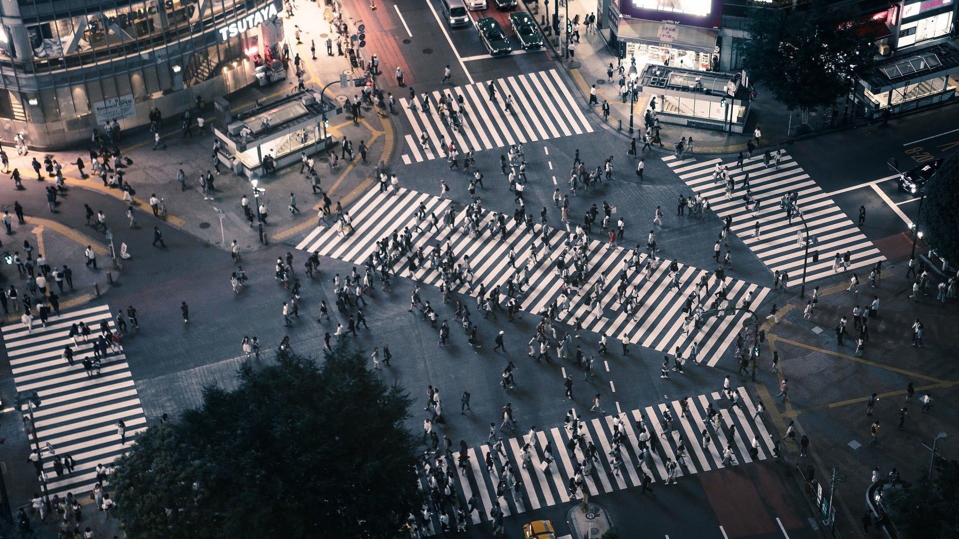 sign, Tokyo, Shibuya, s, streets, zebra crossing, car, built structure, incidental people, photo, road, crosswalk, crowd, city street, city, group of people, HD Wallpaper