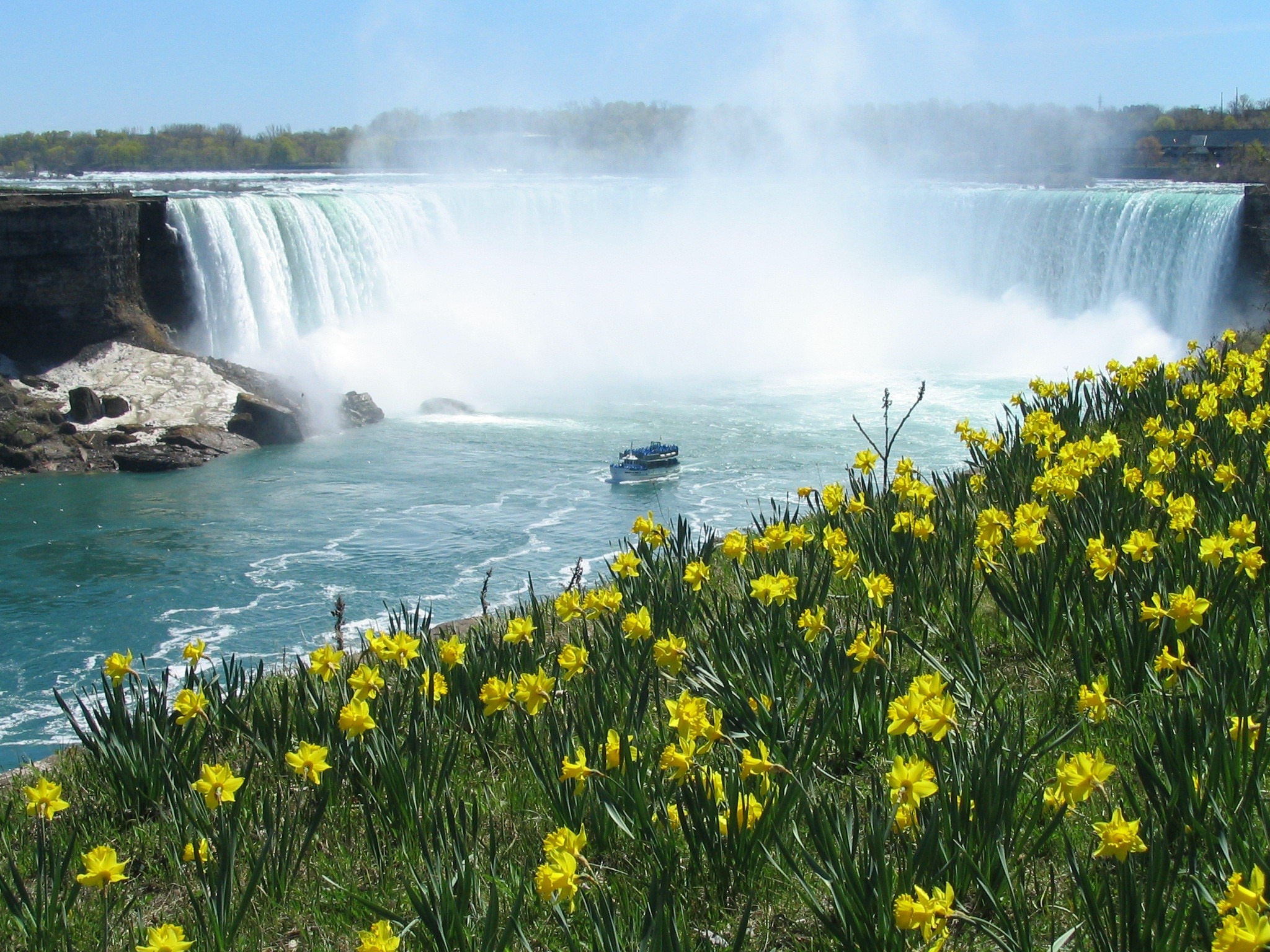 maid of the mist, power in nature, long exposure, daffodils, waterfall, falling, scenics - nature, blurred motion, plant, flowing water, travel, horseshoe, HD Wallpaper