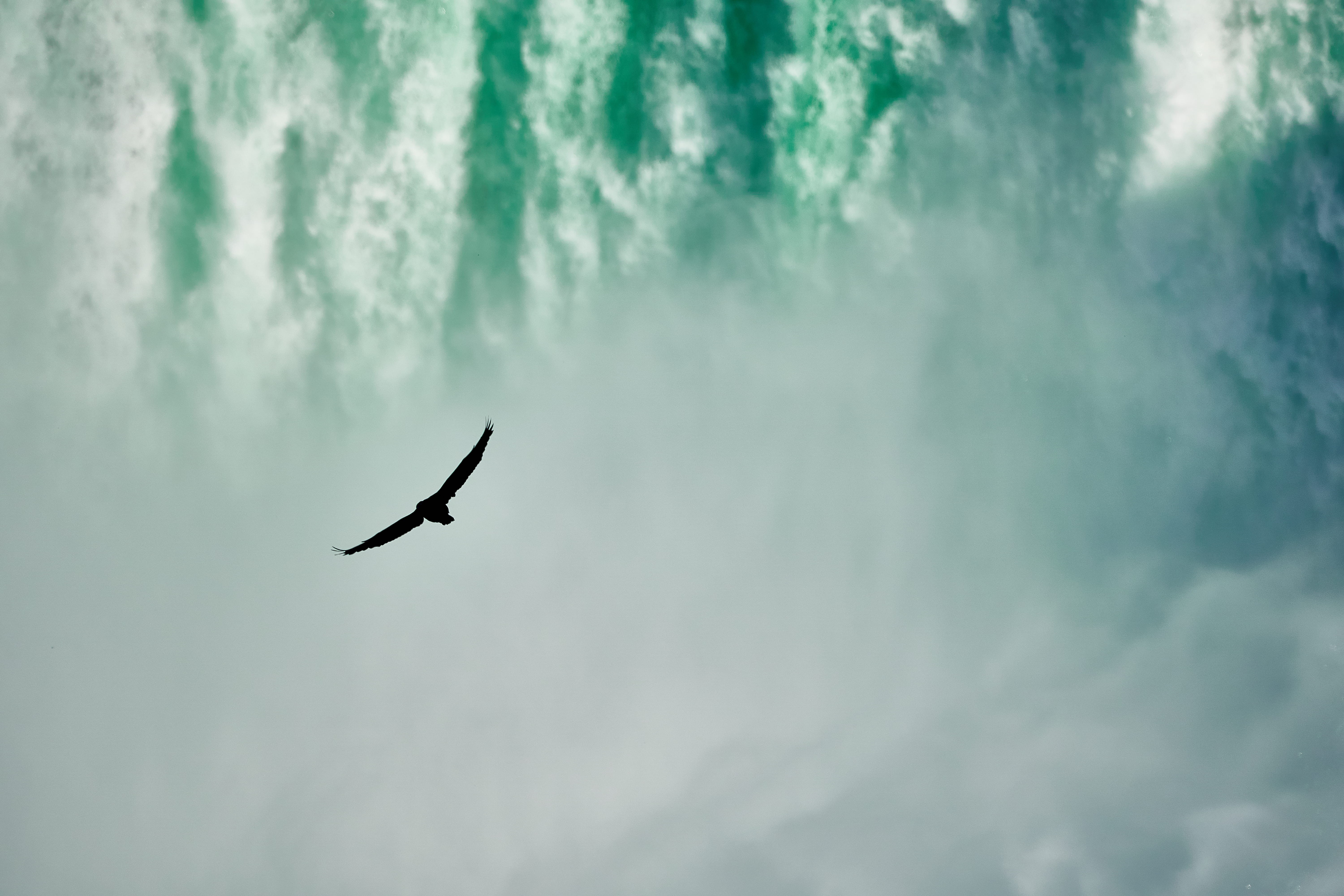 torrent, wildlife, waterfall, mist, flying, spray, backgrounds, blue, natur, no People, white, cloud - Sky, crash, sky, fly, wing, scenics, bird of Prey, HD Wallpaper