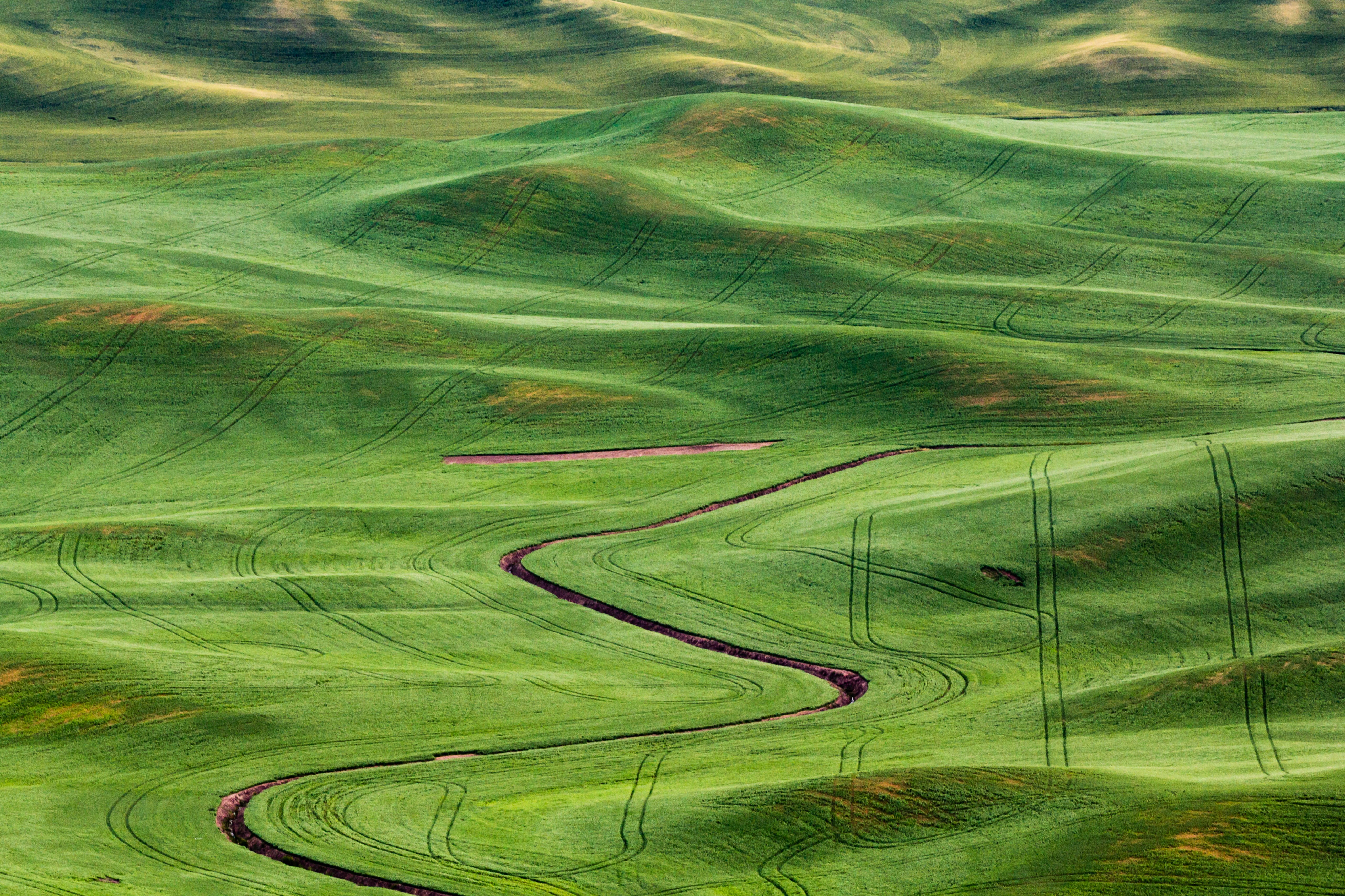 grass, nature, agriculture, landscape, farmland, Eastern Washington, farm, land, green, washington, Region, 5K, field, decor, aerial View, Palouse, rural Scene, HD Wallpaper