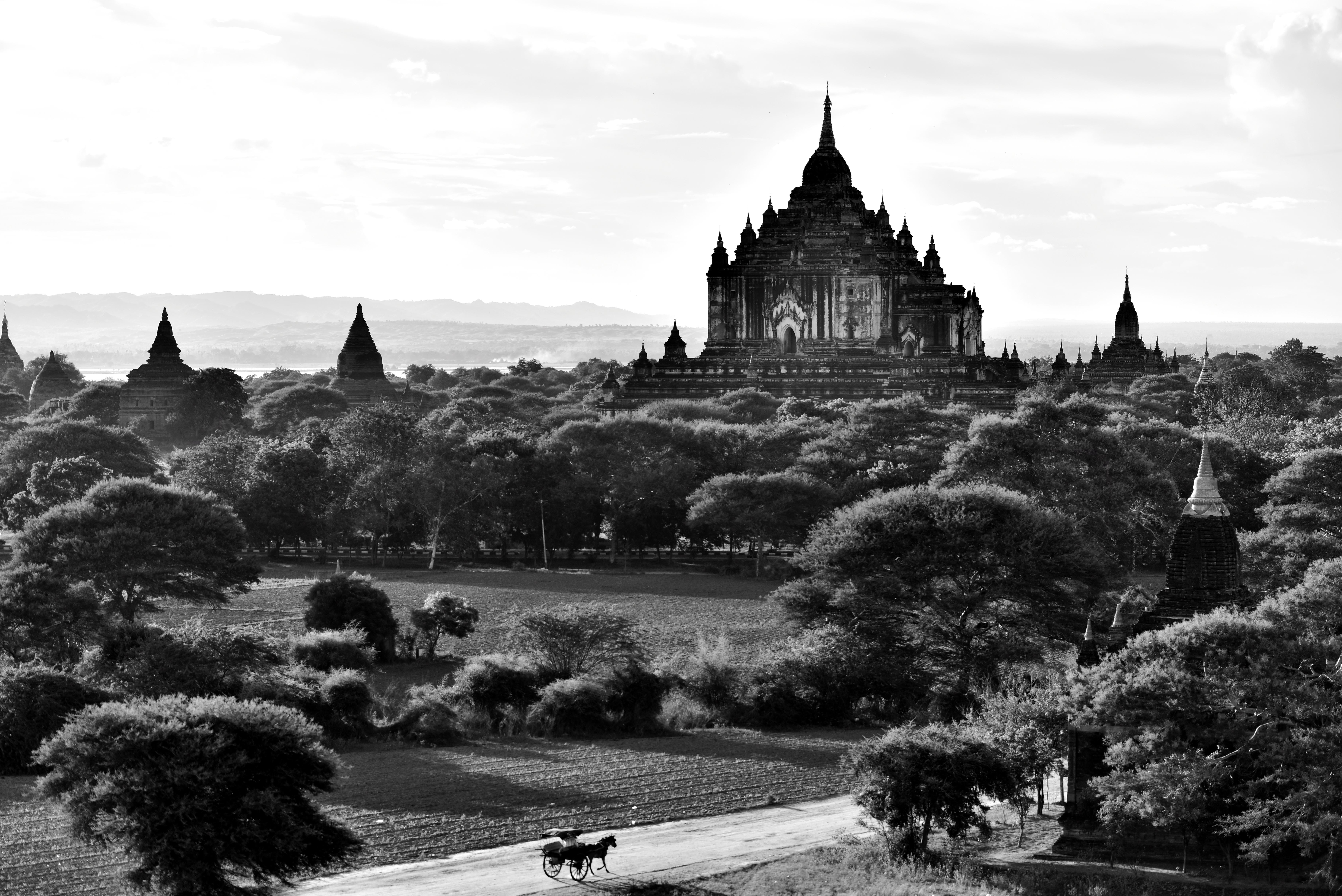 plant, myanmar (burma), 5K, bagan, asia, tree, no people, building exterior, temple, old bagan, day, travel, burma, pagoda, belief, sky, spire, spirituality, HD Wallpaper
