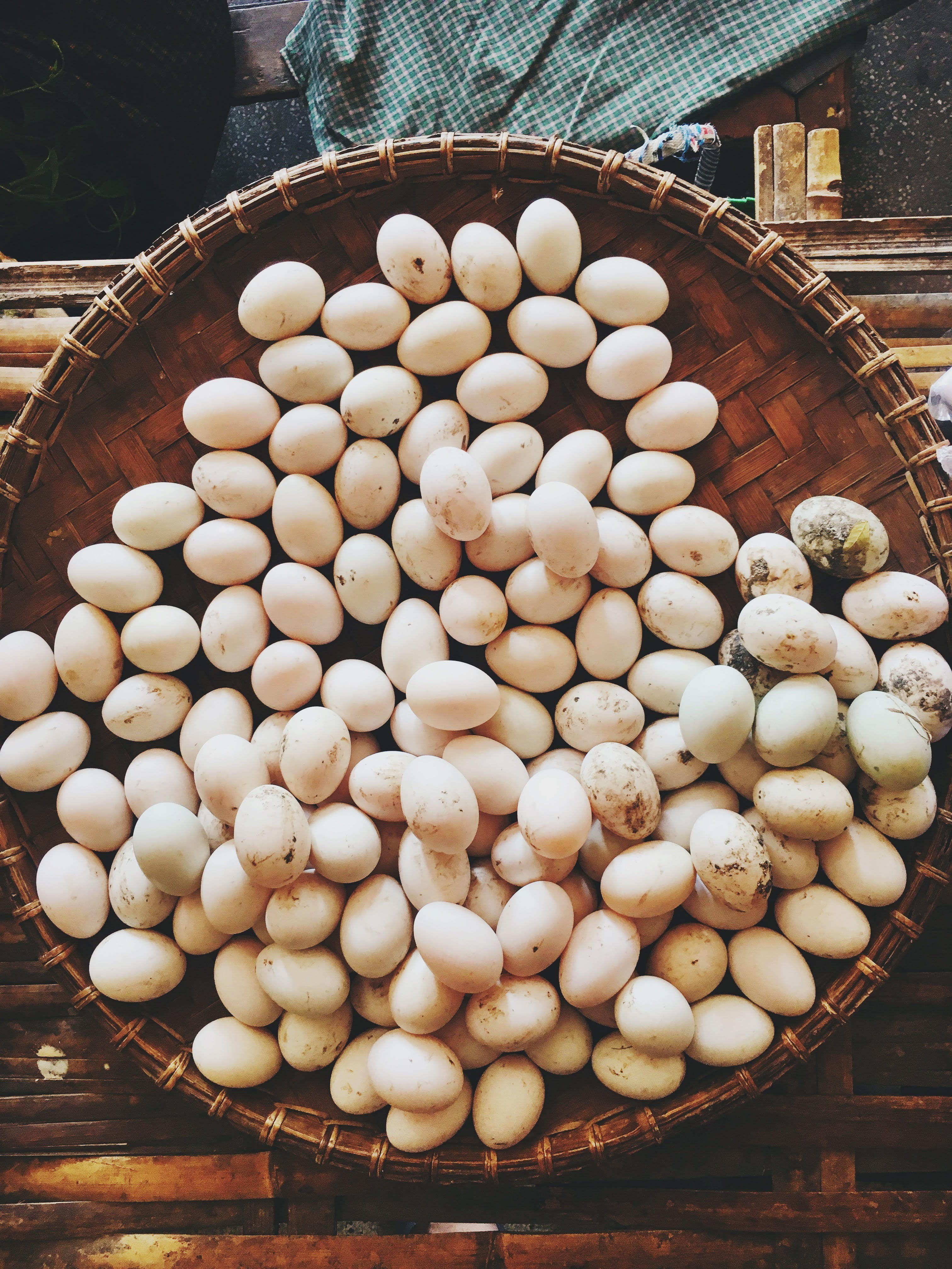 white color, market stall, sale, food and drink, myanmar (burma), market, large group of objects, high angle view, myanmar, eggs, abundance, healthy eating, Phone HD Wallpaper