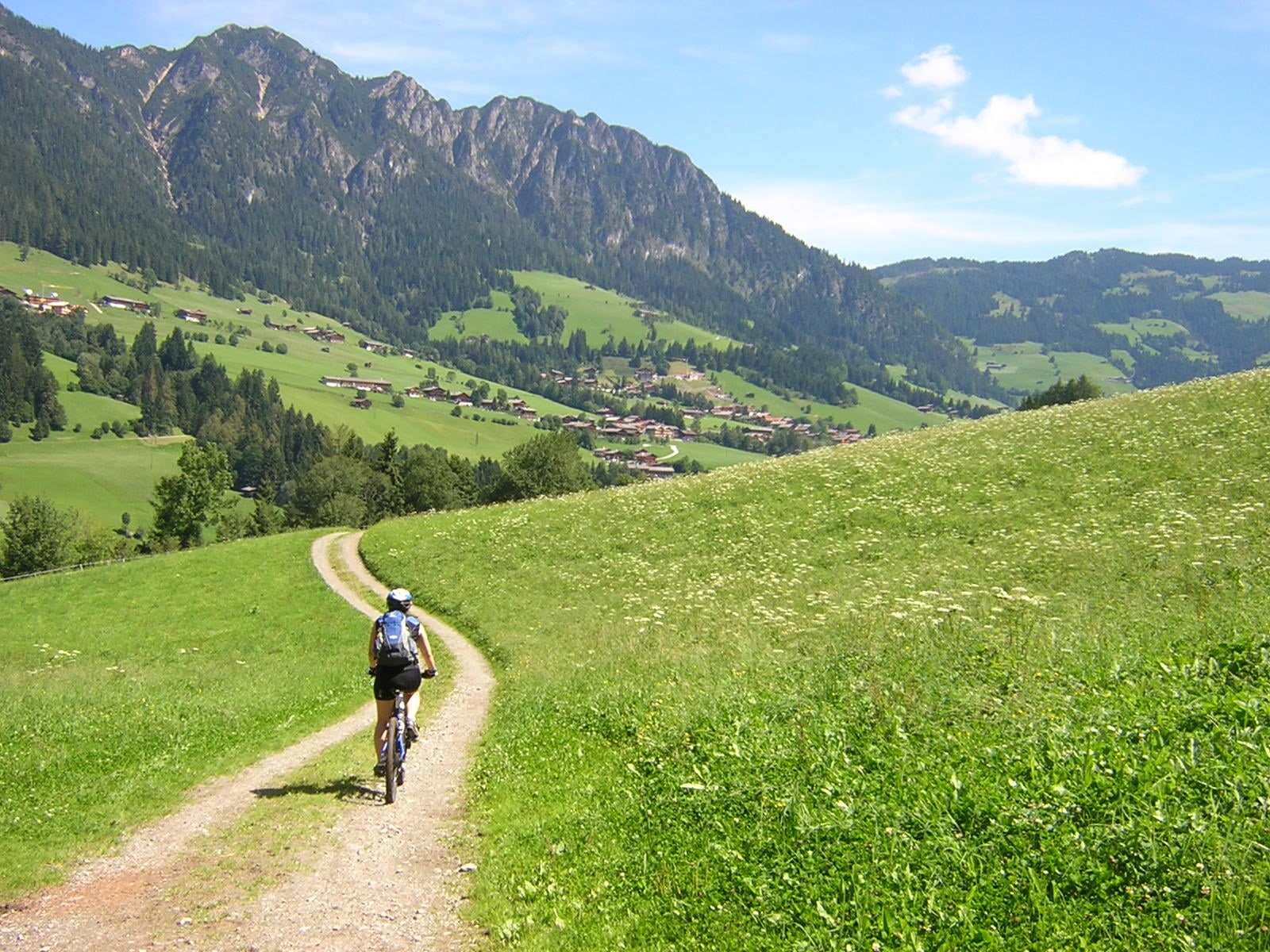 near, outdoors, path, man in grey, Austria, mountains, summer, biking, man, grey, mountain-bike, nature, shirt, daytime, grass, people, Tyrol, mountain, HD Wallpaper