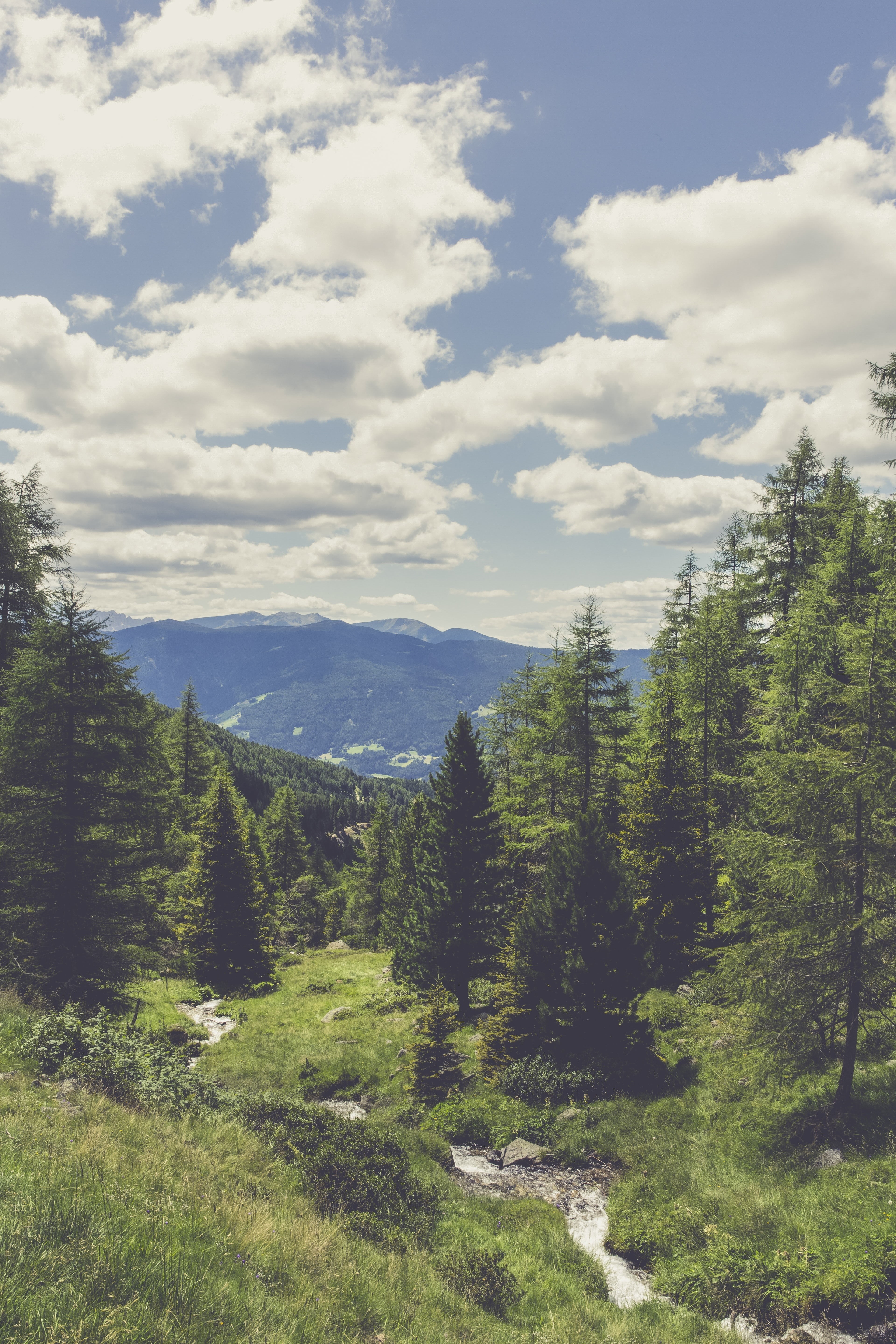 sky, mountain lake, foresight, nature park, view, green color, viewpoint, mountain, leisure, glacial lake, growth, places of interest, forest, scenics - nature, Phone HD Wallpaper