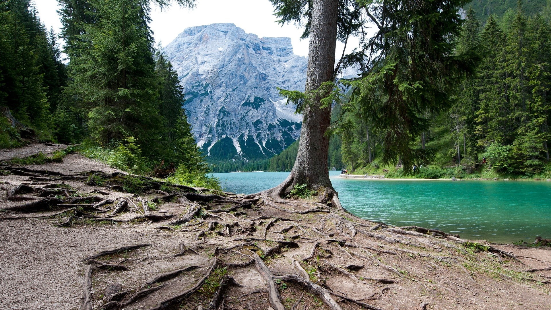 forest, 1080P, italy, snow, hd, rivers, x, mountains, trees, art, braies, Landscapes, forests, nature, HD Wallpaper