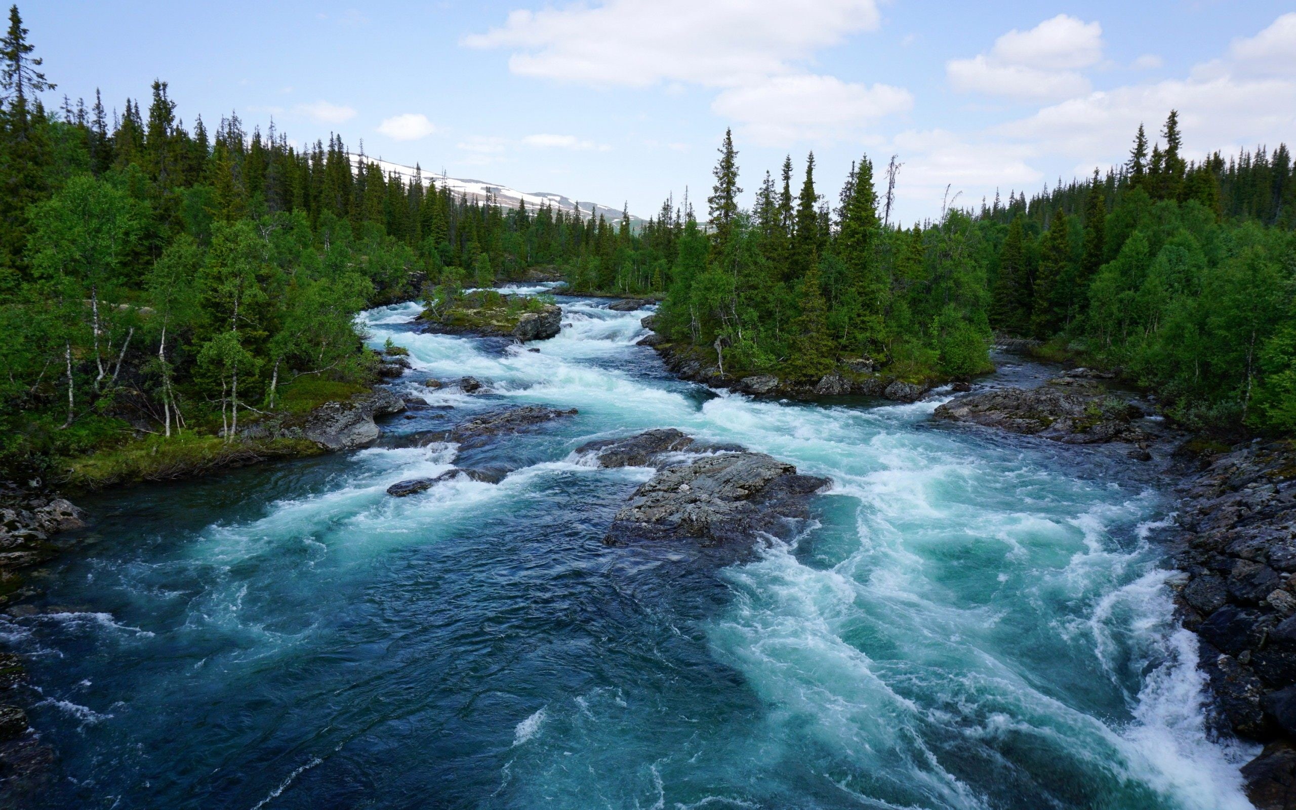 mountain, hd, green, island, trees, forest, desktop, pine, blue, rocks, 2K, river, HD Wallpaper