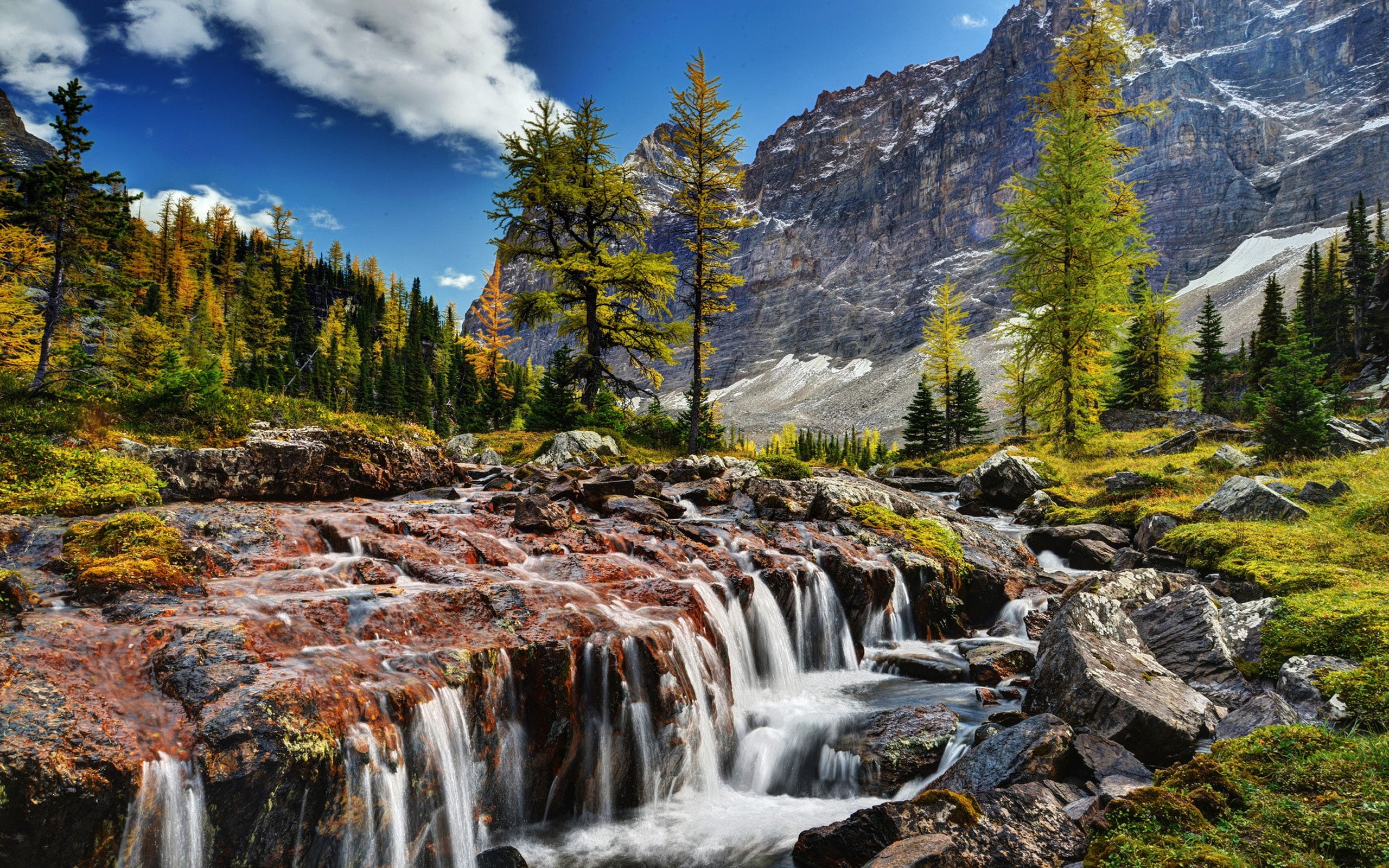 pine, rocks, scenery, yoho, rocky, 2K, river, mountain, park, national, beautiful, shua, hd, canada, HD Wallpaper