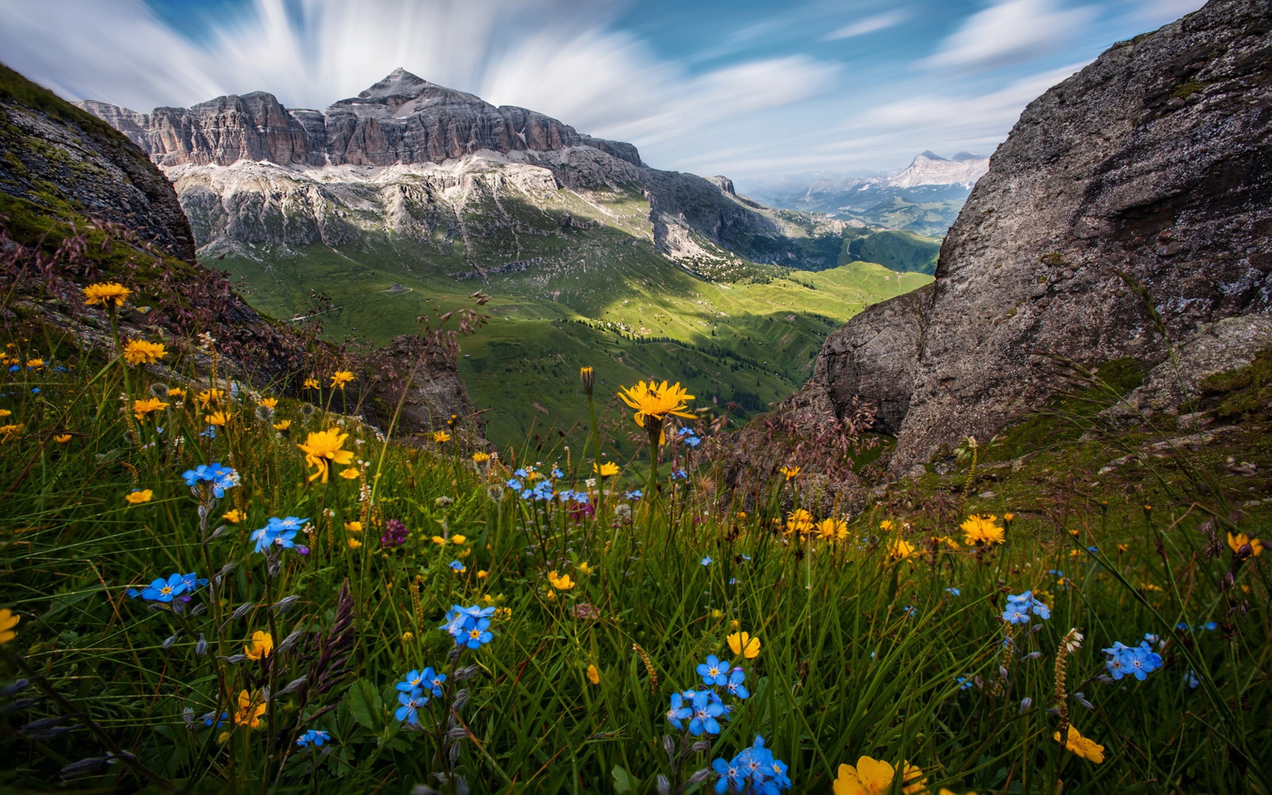 flowers, italy, hd, 2K, landscape, nature, dolomites, HD Wallpaper