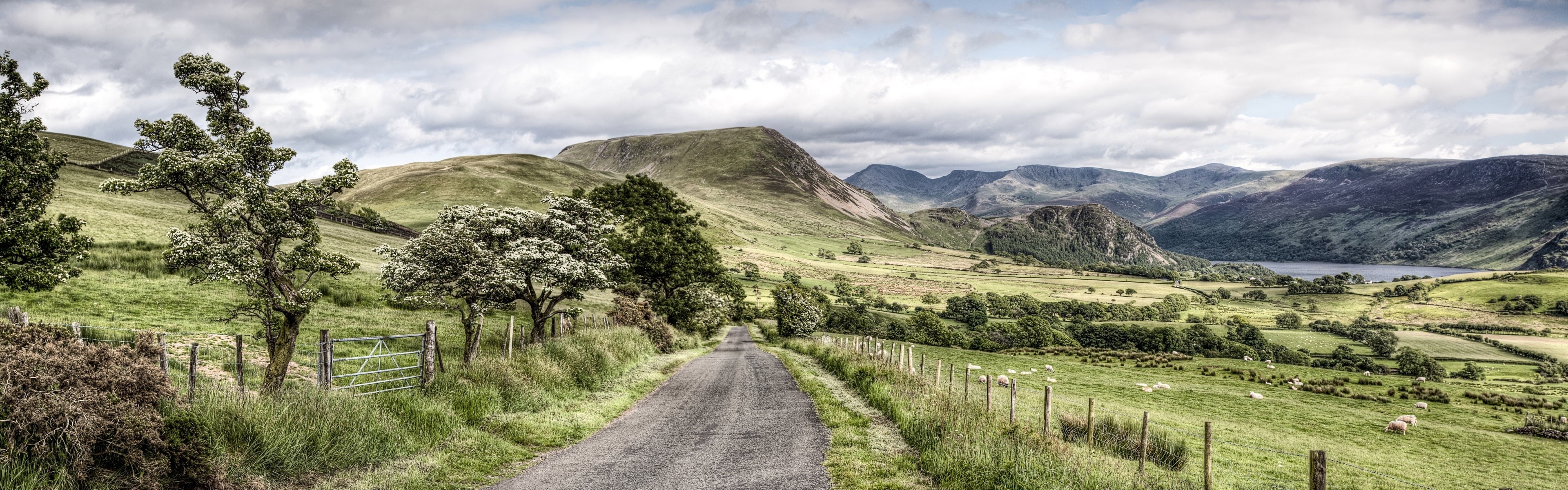Park, District, 4K, Mountains, UK, Cumbria, Trees, National, Lake, Road, HD Wallpaper