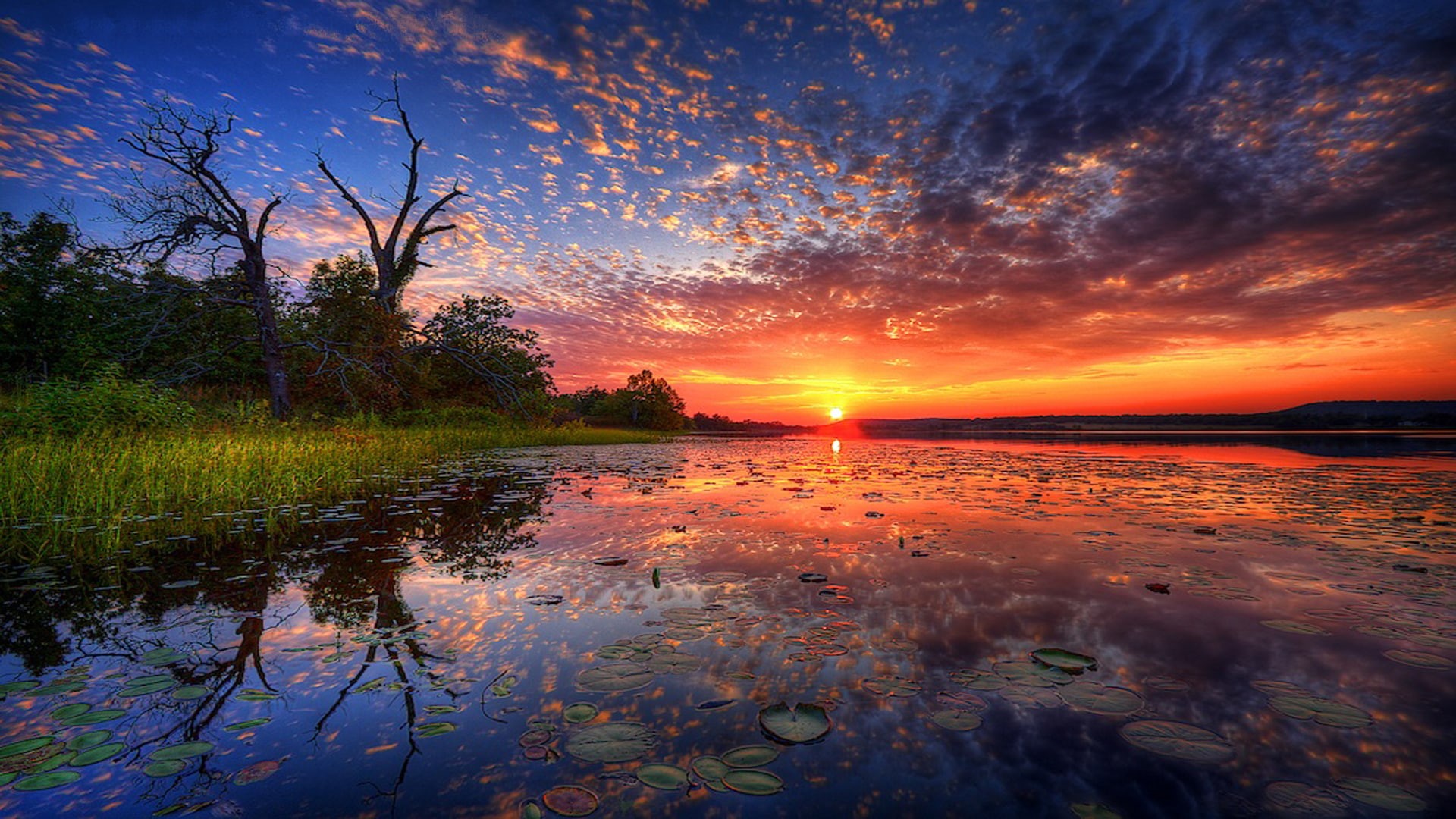 haeo, lotus, lake, forest, sunset, sky, beautiful, hd, red, clouds, reflection, thailand, tambon, 1080P, chiang, HD Wallpaper