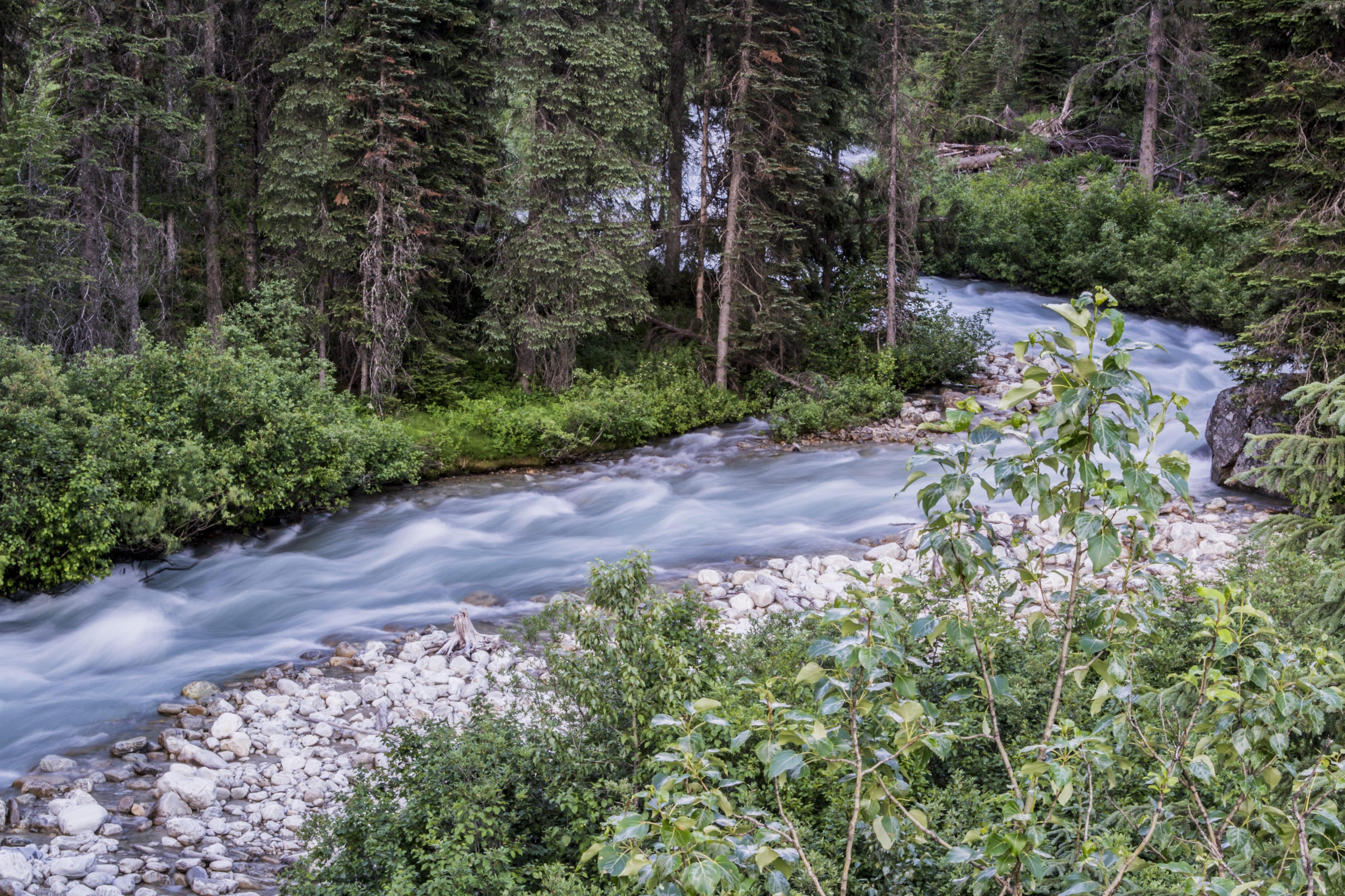 outdoor, day, idyllic, climb, long exposure, alberta, dry, scenic, move, river, picturesque, challenge, wonderland, mountain, peak, place, journey, line, HD Wallpaper