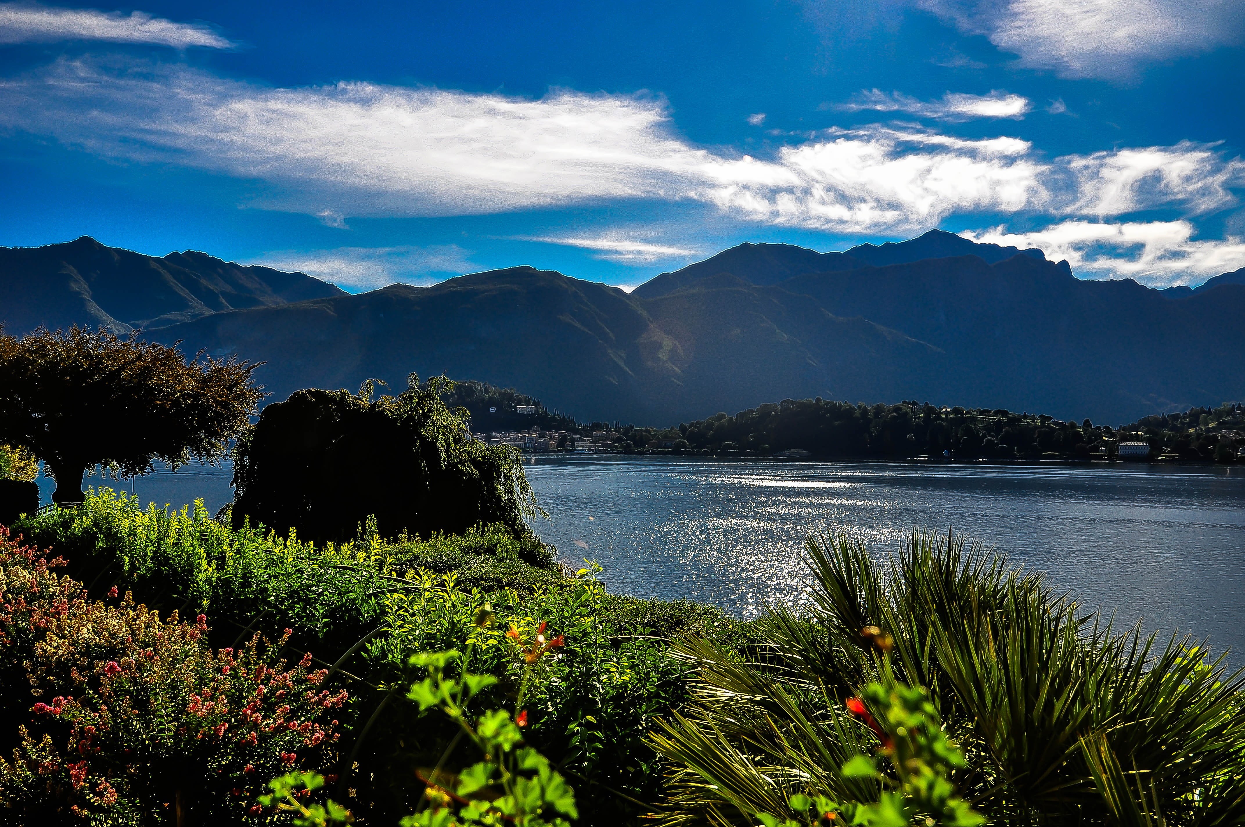 lake como, growth, water, 4K, outdoors, mountains, tree, mountain, flowering plant, summer, beauty in nature, body, plant, landscape, basant di como, cloud - sky, HD Wallpaper