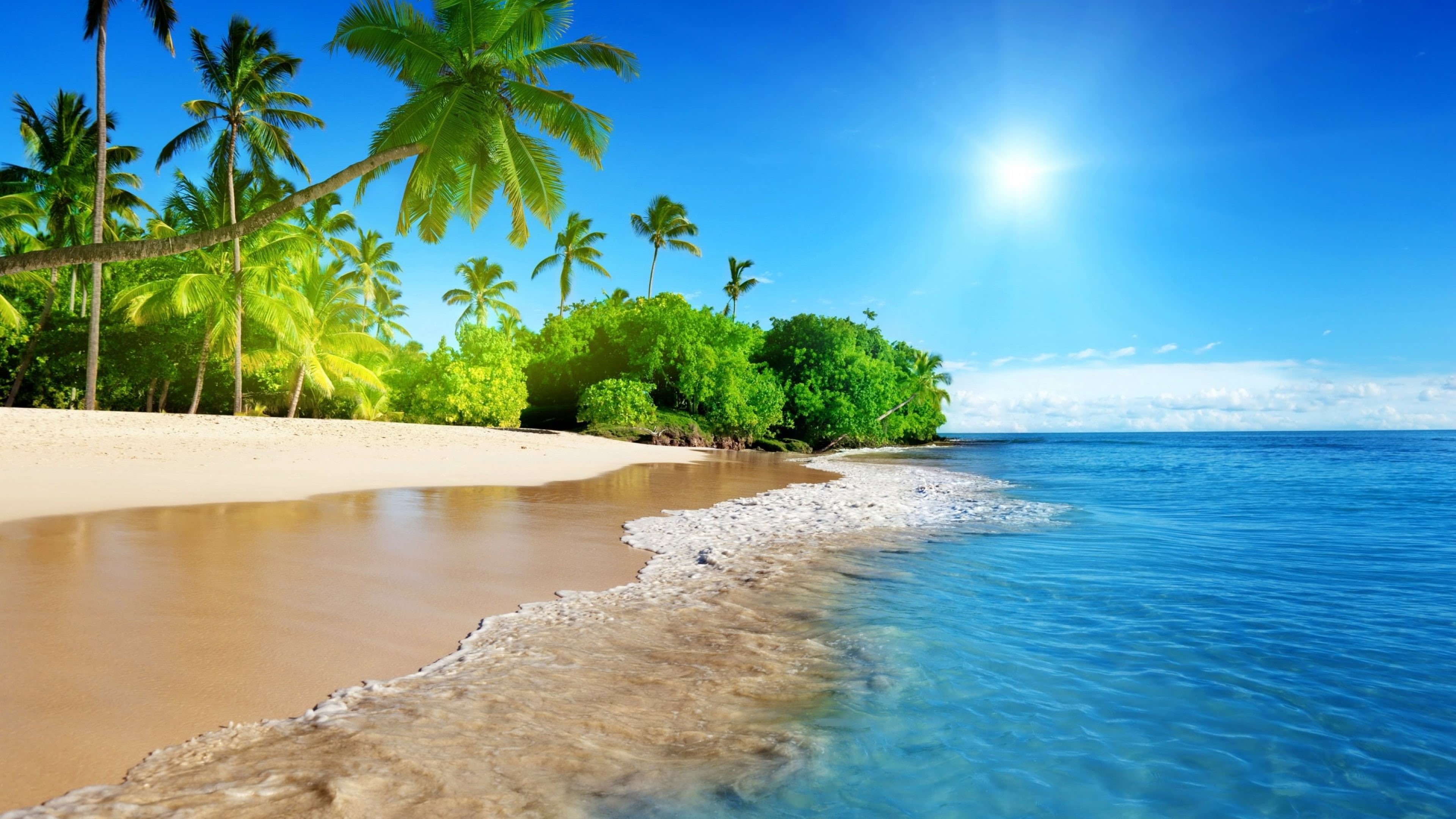 beach, trees, k, tropical, coast, sun, palm, ocean, 4K, ultra, sky, sandy, waves, blue, hawaiian, hd, HD Wallpaper
