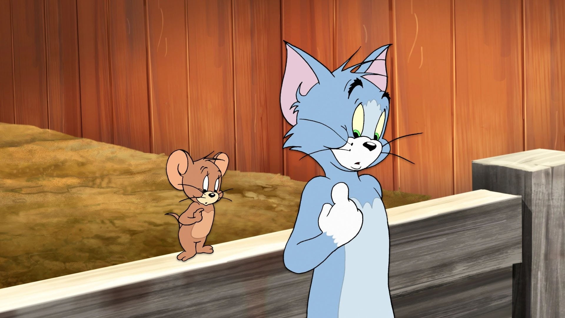 1080P, Tom and Jerry, HD Wallpaper