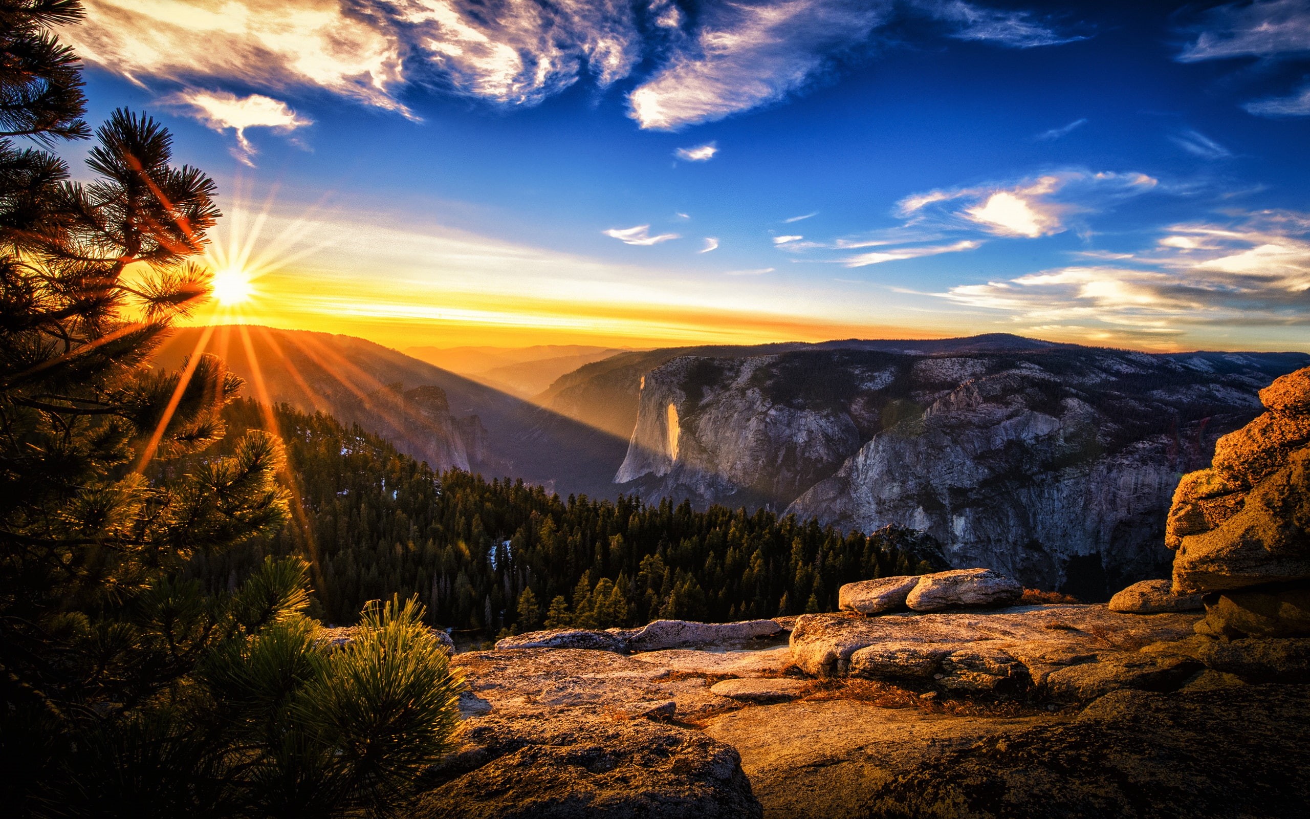 Forest, Landscape, Trees, Mountains, 2K, Pine, Sunrise, Sun, Rays, HD Wallpaper