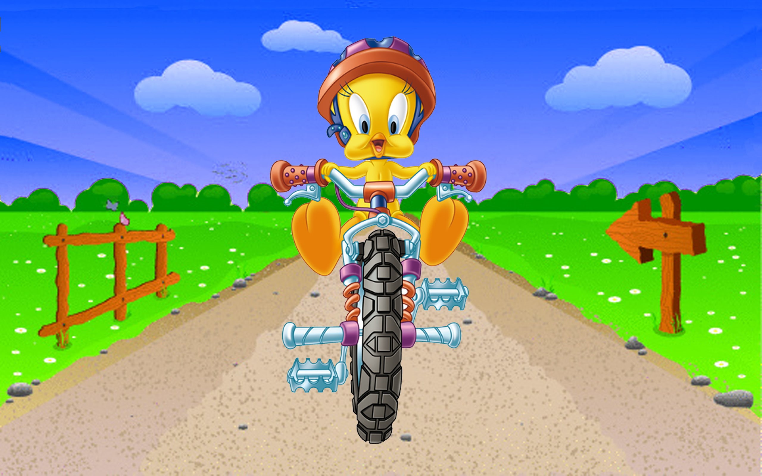phones, tablet, hd, mobile, tweety, cartoon, riding, bicycle, tunes, laptop, looney, bird, 2K, HD Wallpaper