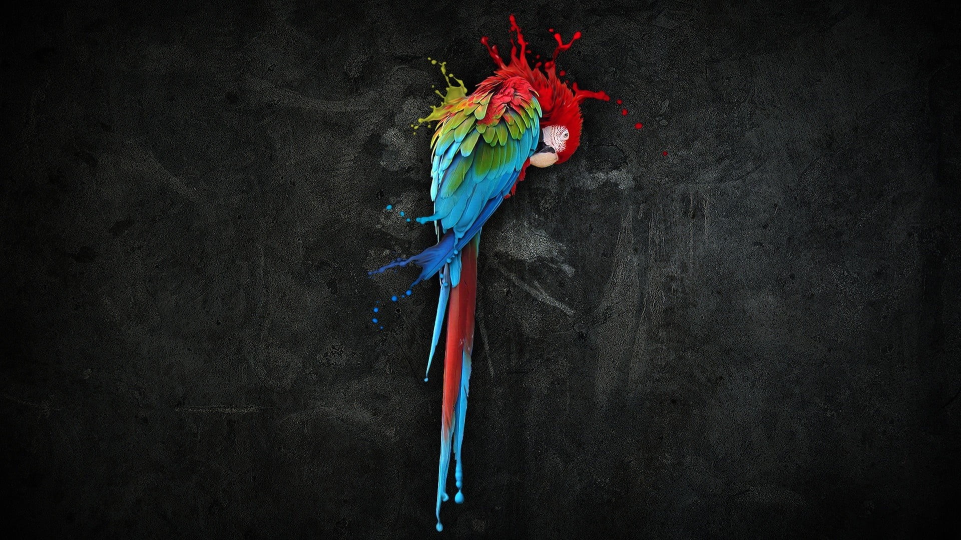 green color, art and craft, animal themes, parrot, scarlet, creativity, flower, indoors, colorful, 1080P, feather, flowering plant, no people, HD Wallpaper
