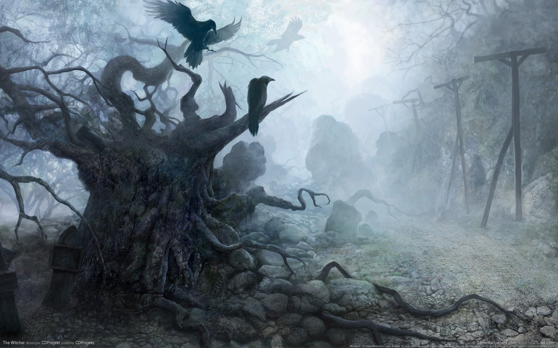 dark theme, cold temperature, tree, nature, scenics - nature, day, fog, plant, flowing water, tranquility, no people, vulture, environment, land, crows, HD Wallpaper