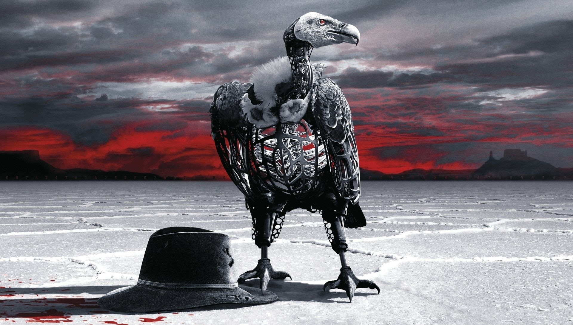 Vulture, TV Show, Robot, 1080P, Westworld, Hat, Desert, HD Wallpaper