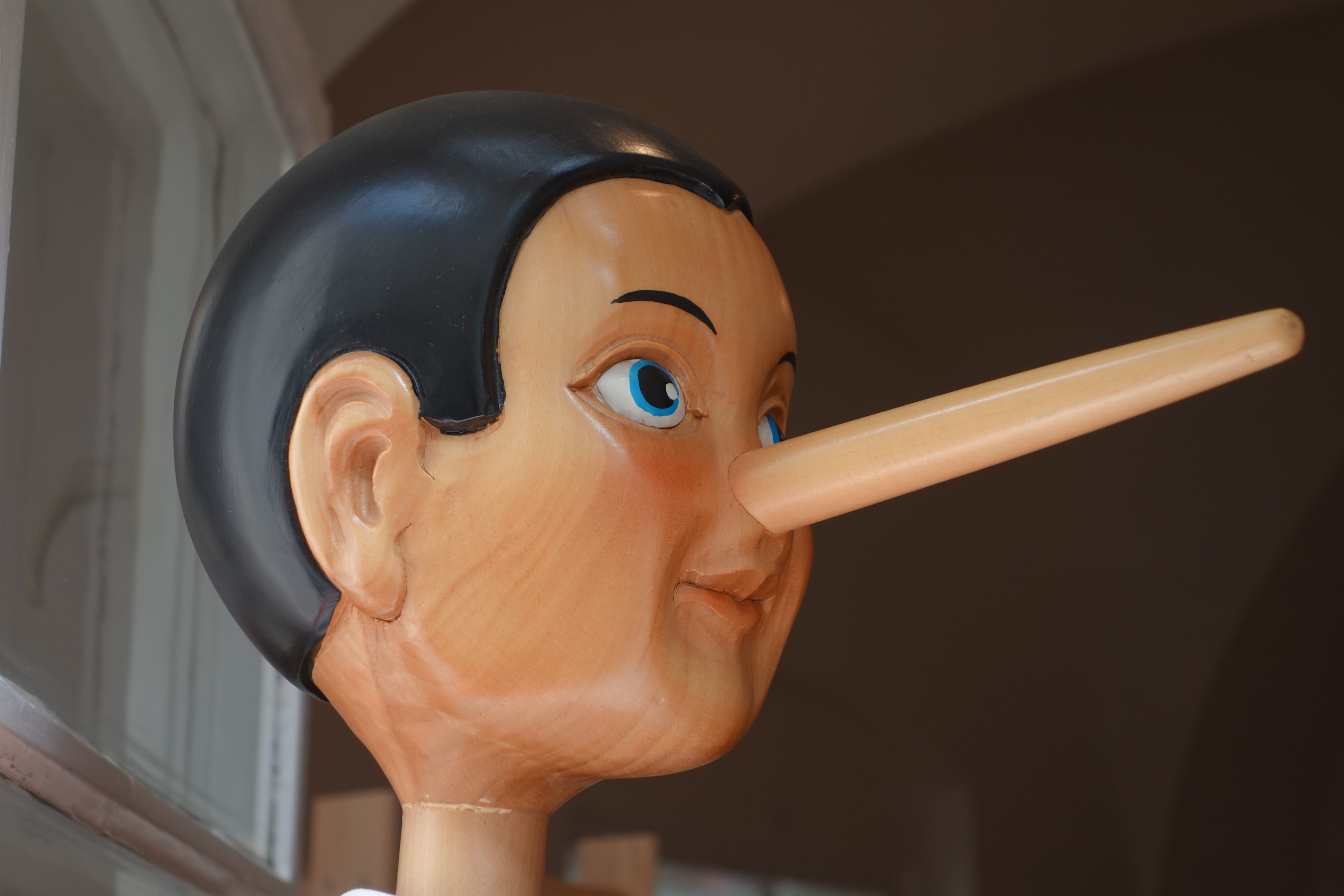 female likeness, women, head, nose, wood doll, male likeness, pinocchio, toy, 5K, close-up, focus on foreground, people, creativity, lying nose, wood - material, HD Wallpaper