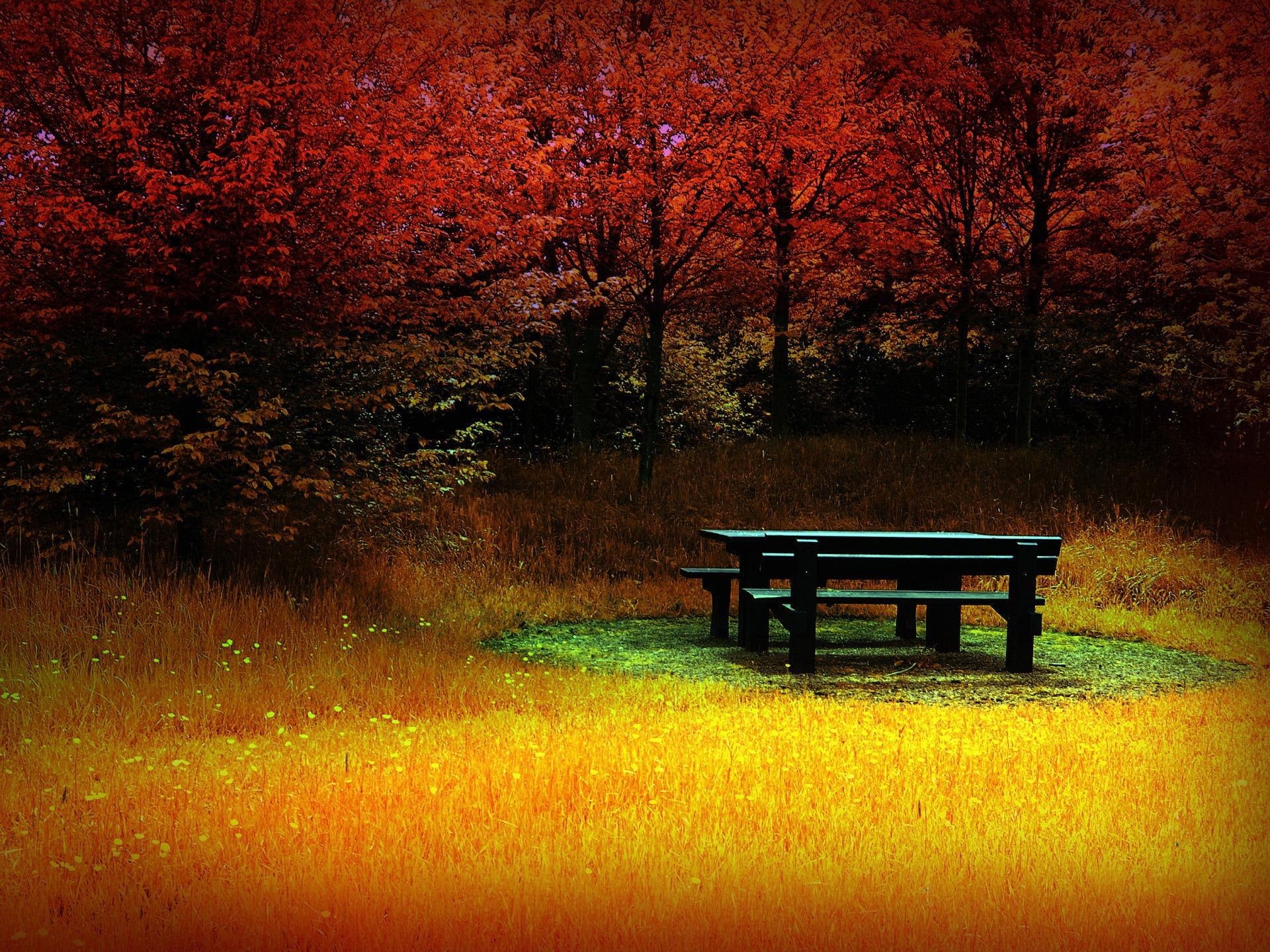 set, herbst, 1080P, table, 3d and abstract, widescreen, picnic, feuer, orange, bench, black, forest, yellow, autumn, fire, HD Wallpaper