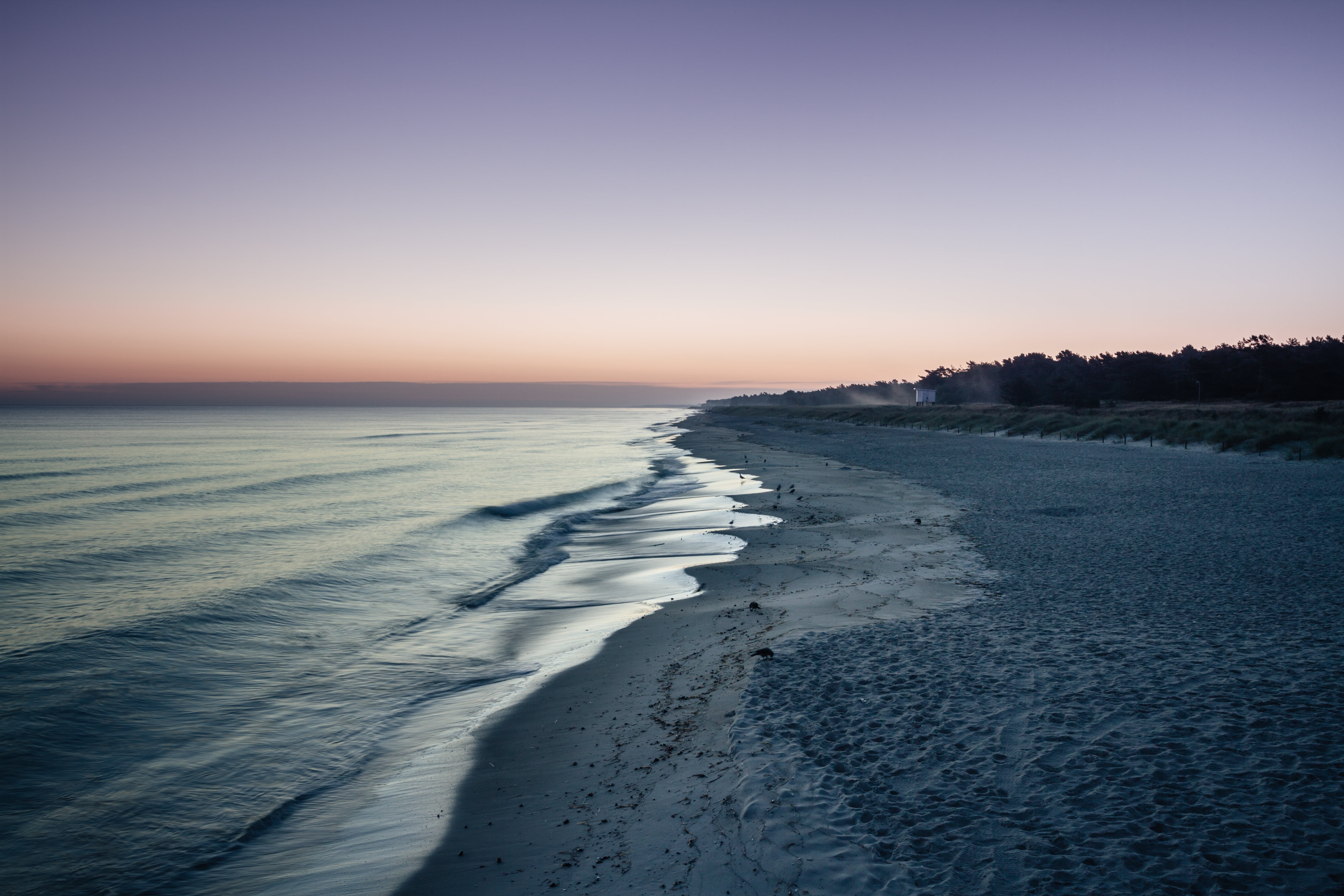nature, Sunrise, Baltic Sea, Strand, Bäume, Trees, DE, sea, Deutschland, calm, Dune, fog, Düne, Ostsee, sunset, 5K, body of water, myst, Sea  Beach, herbst, HD Wallpaper