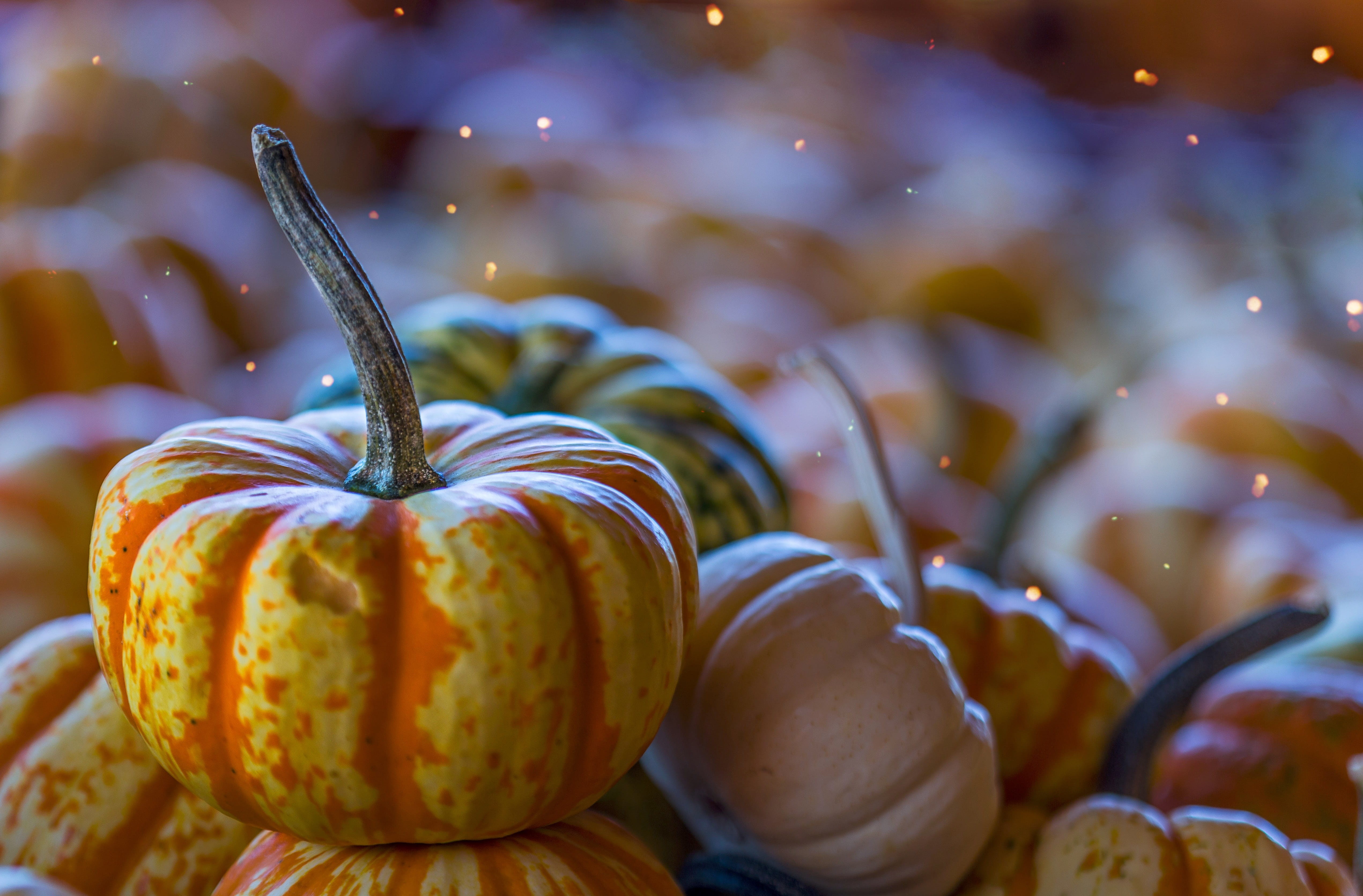 ripe, pumpkin, healthy eating, squash - vegetable, light flare, close-up, 4K, food and drink, orange, vegetable, nature, focus on foreground, light leak, HD Wallpaper