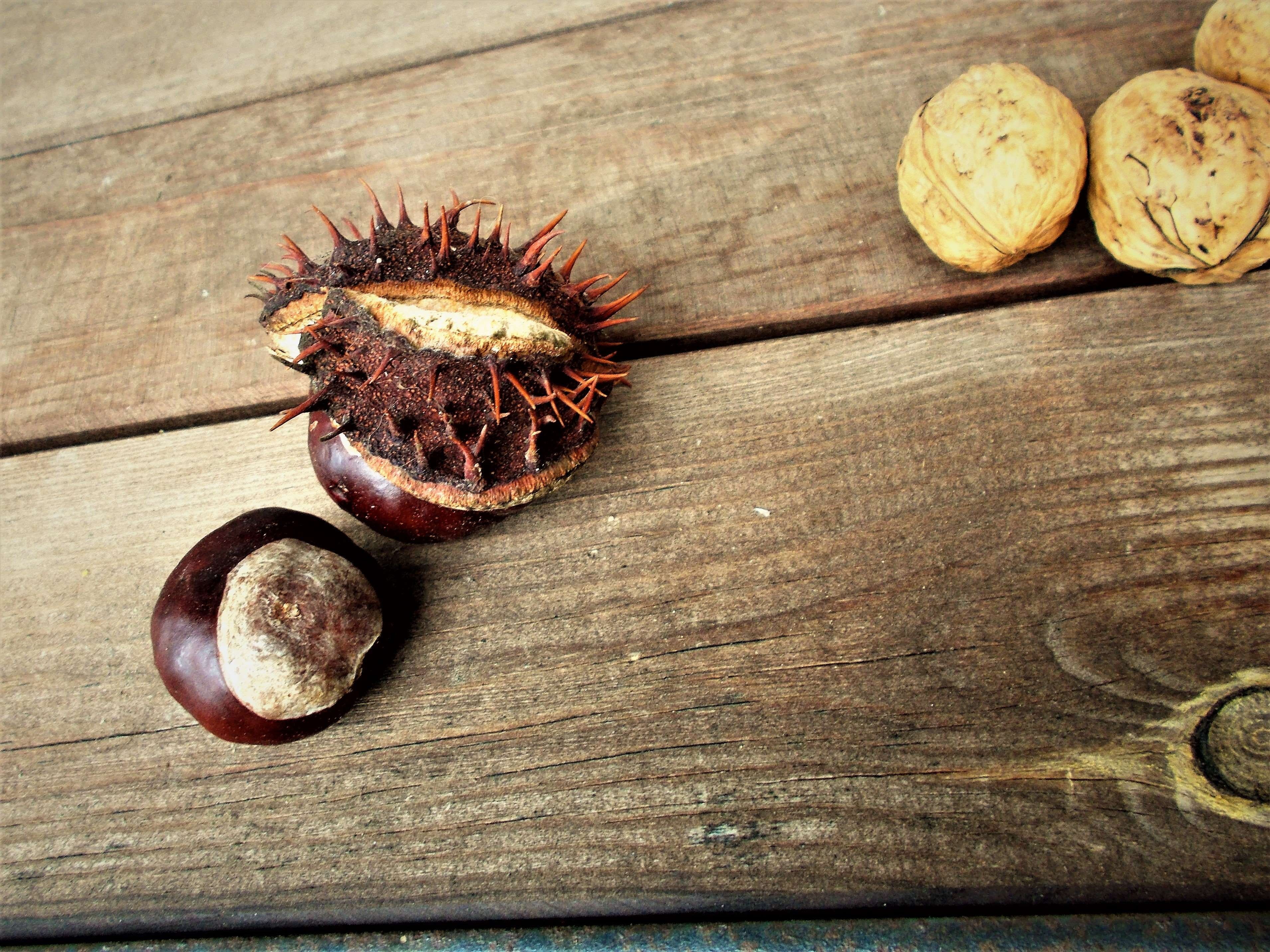 healthy eating, kastanien, herbst, freshness, braun, food, fruit, day, close-up, wood - material, nut - food, food and drink, chestnut - food, 2K, nut, HD Wallpaper