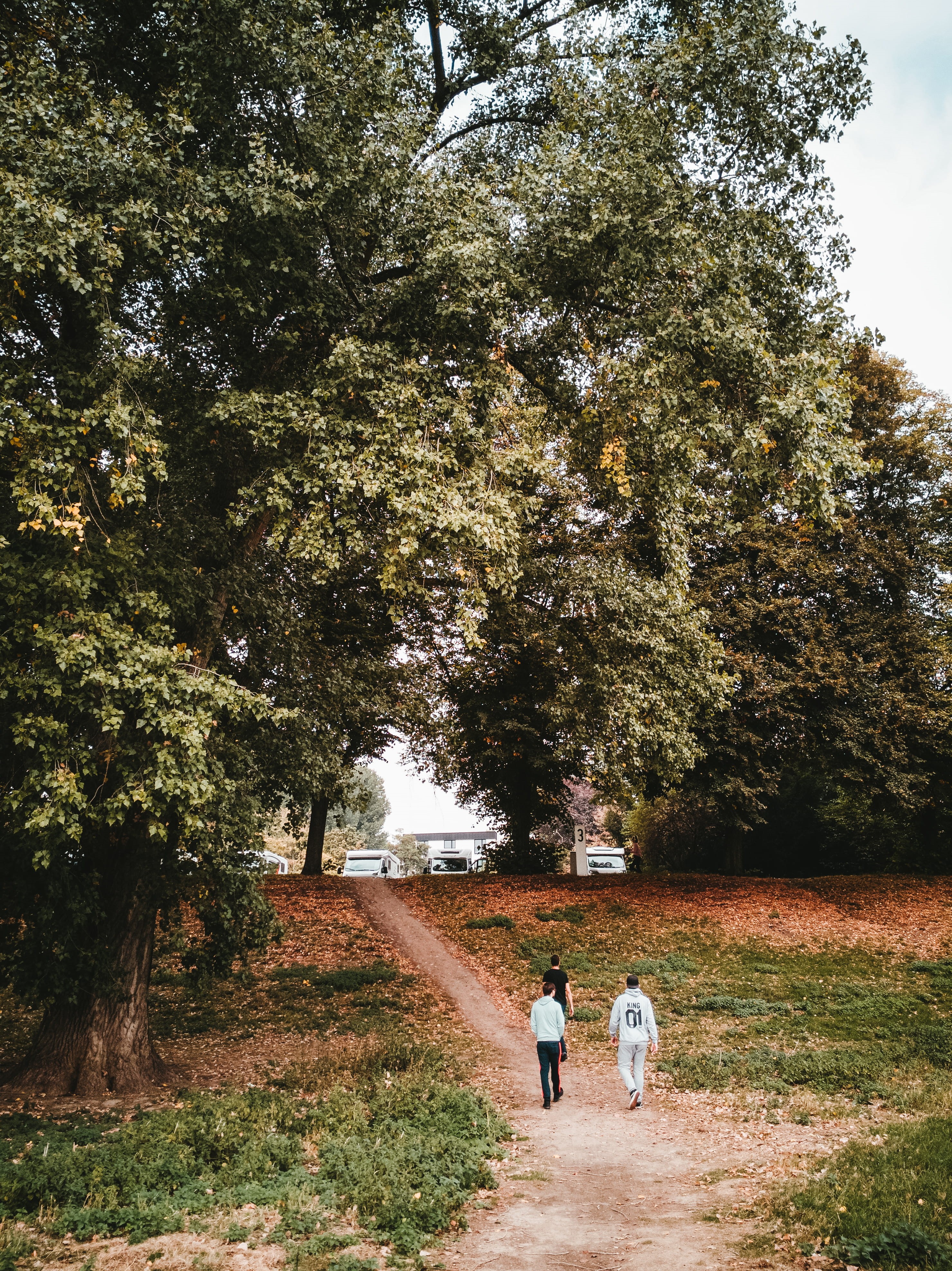autumn, real people, pathway, growth, fog, walking, lifestyles, nature, friends, beauty in nature, leisure activity, feeling, freunde, two people, germany, Phone HD Wallpaper