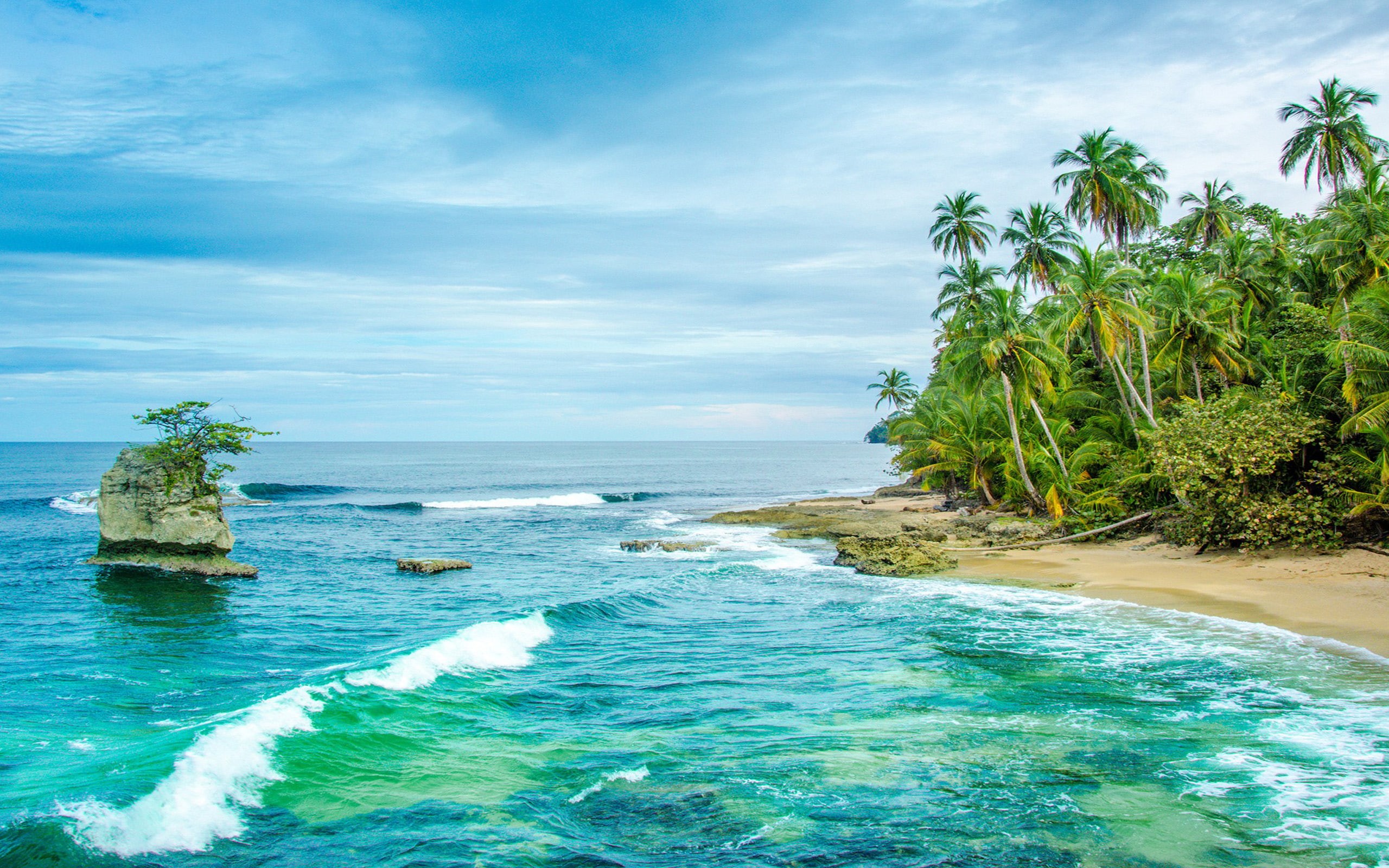 rica, beach, sandy, trees, 2K, costa, palm, manzanillo, waves, ocean, caribbean, wild, HD Wallpaper