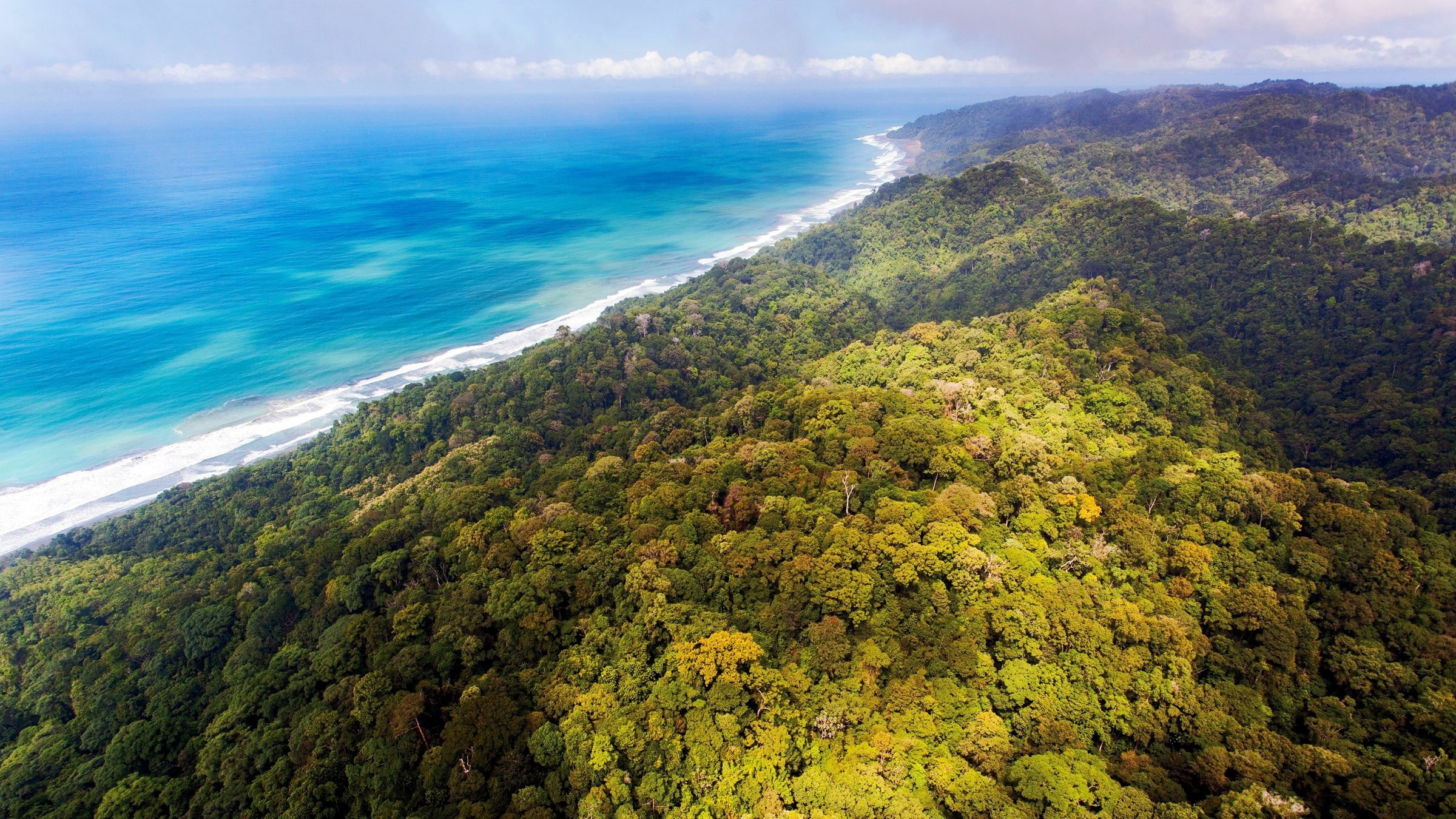 forest, no people, green, horizon over water, photography, aerial, hills, non-urban scene, nature, beauty in nature, tranquil scene, 1080P, beach, land, HD Wallpaper