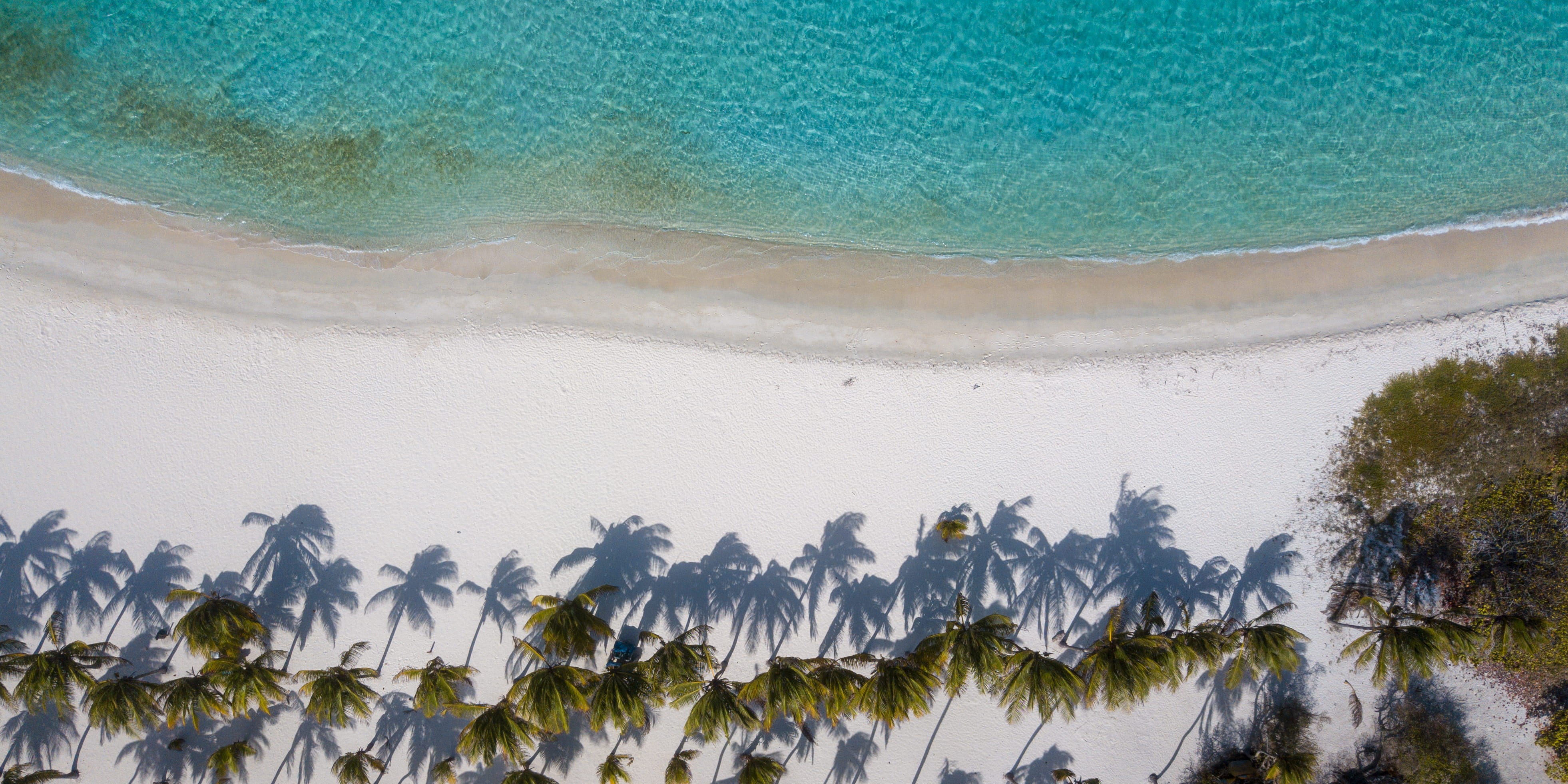 monseñor iturriza, playa, beauty in nature, scenics - nature, growth, costa, agua, sea, venezuela, nature, day, water, land, view, beach, drone, paz, plant, HD Wallpaper