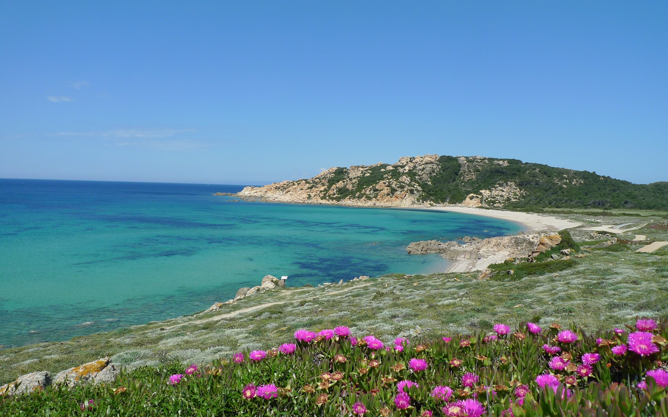 world, 2K, flowers, beach, sardinia, island, italy, HD Wallpaper