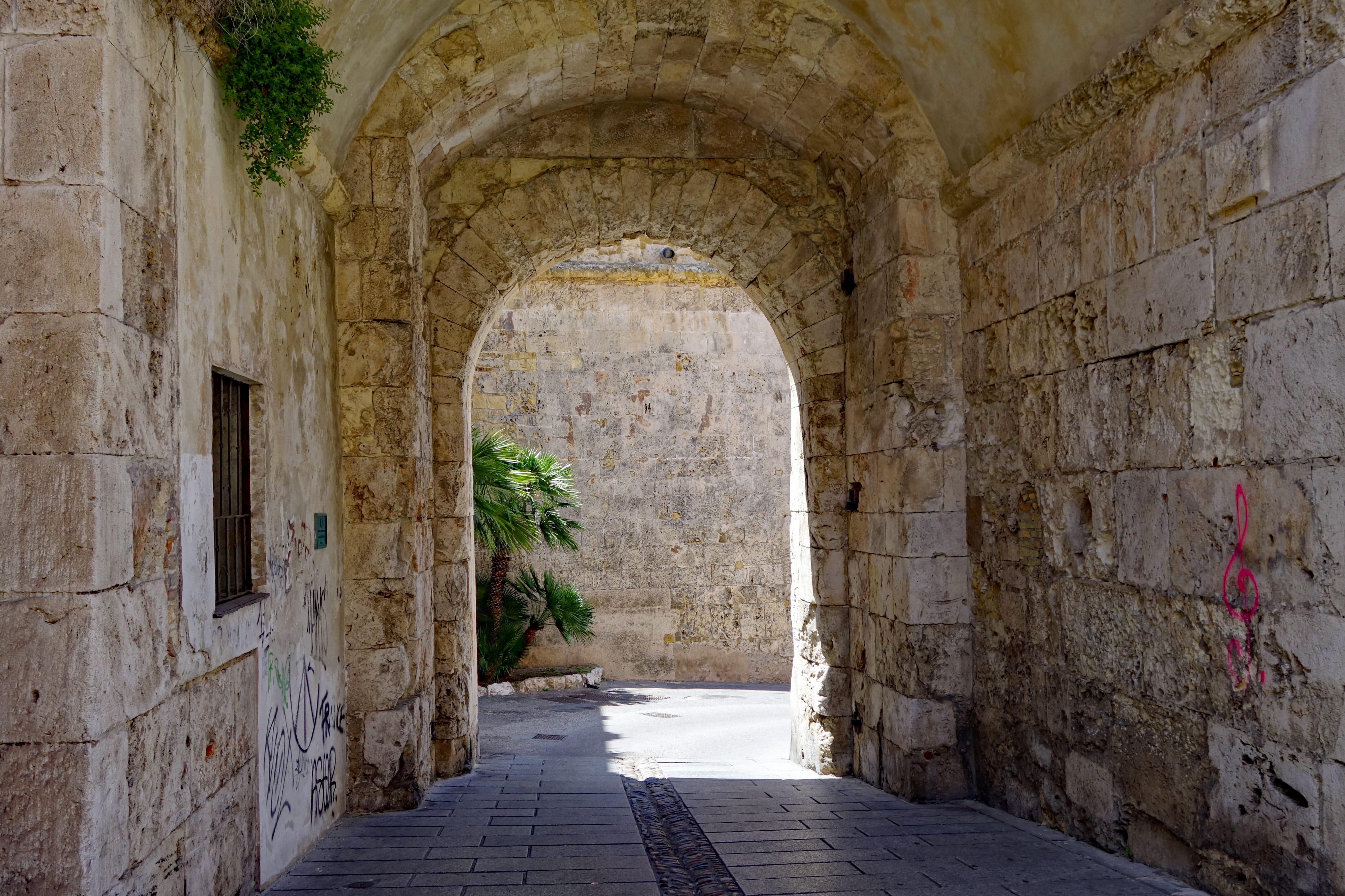 arcade, direction, architecture, plant, alleyway, nature, photo, arch, wall - building feature, day, the past, outdoors, no people, footpath, old town, HD Wallpaper