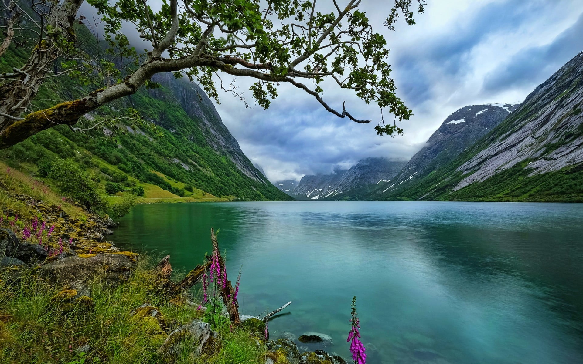 cloud - sky, tree, plant, lake, body, idyllic, mountain, sky, day, green color, no people, non-urban scene, trees, mountain range, outdoors, nature, blue, HD Wallpaper