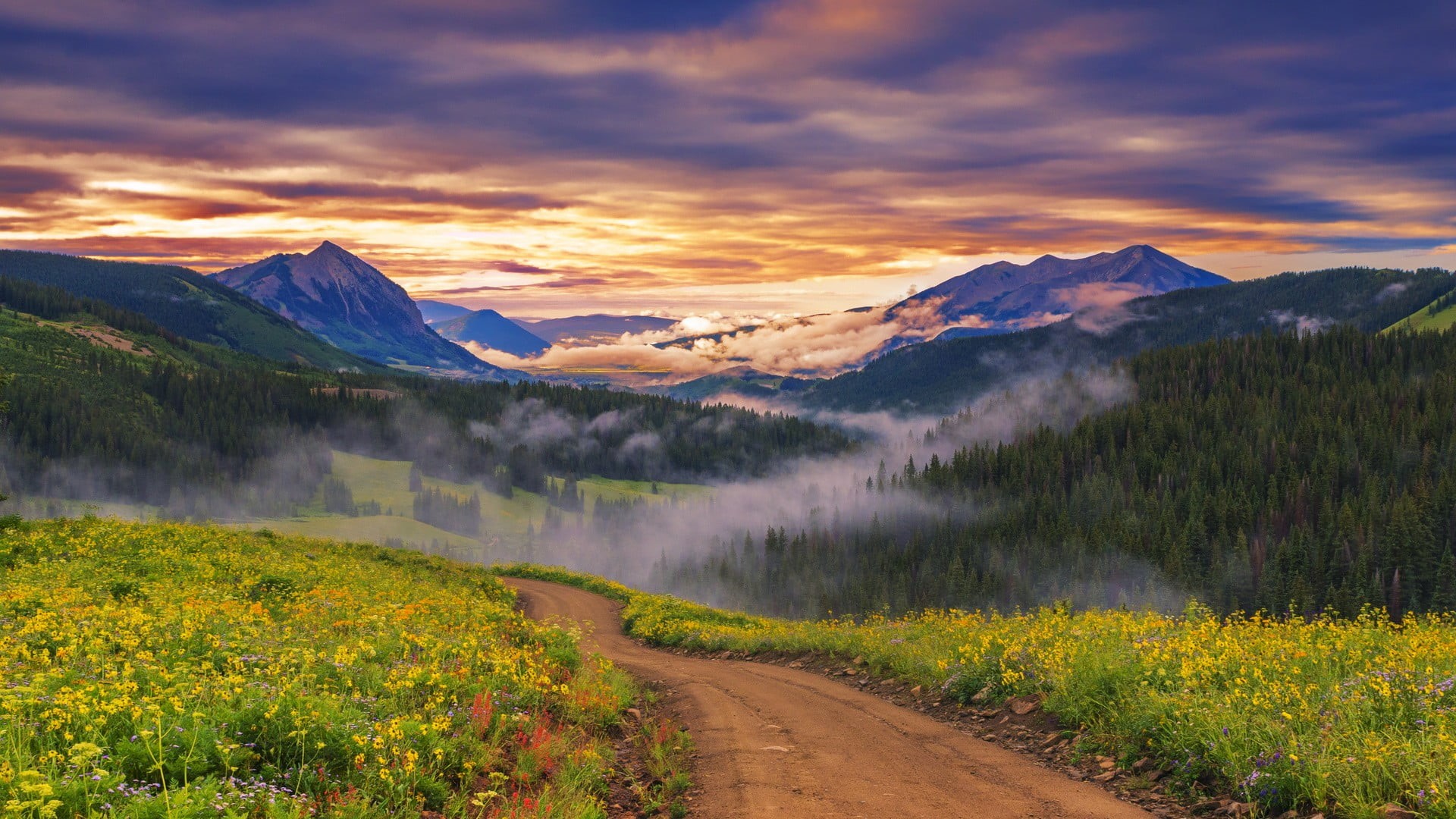 coniferous tree, nature, mountains, covered, cloud - sky, tree, landscape, 1080P, sun, grass, wildflowers, sky, path, road, mountain, valley, scenics - nature, HD Wallpaper