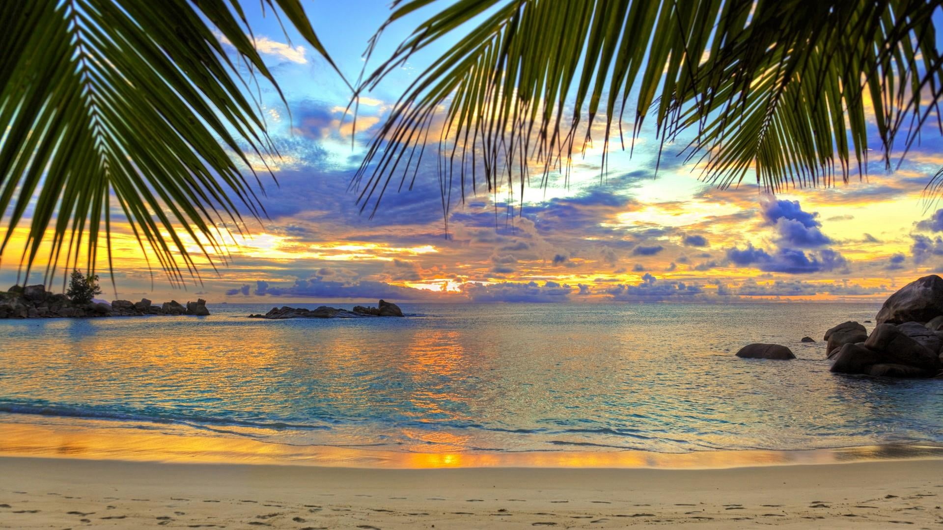 sandy beach, horizon over water, no people, idyllic, tranquil scene, land, shore, plant, 1080P, tropical climate, sunset, palms, rock, beach, palm tree, HD Wallpaper