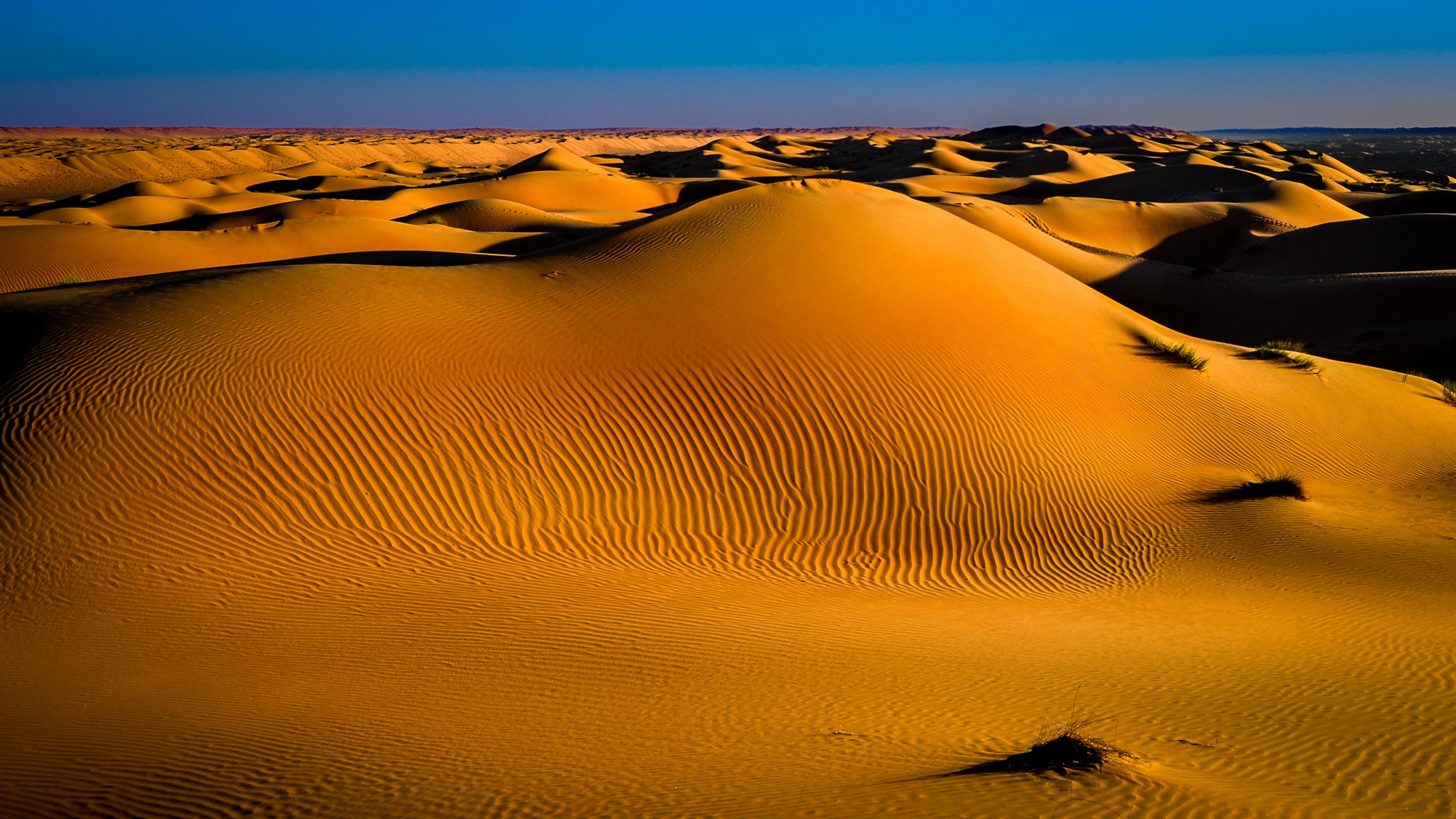oman, s, tranquility, scenery, desktop, sky, environment, mobile, climate, animal wildlife, sand, tablet, red, travel, travel destinations, HD Wallpaper