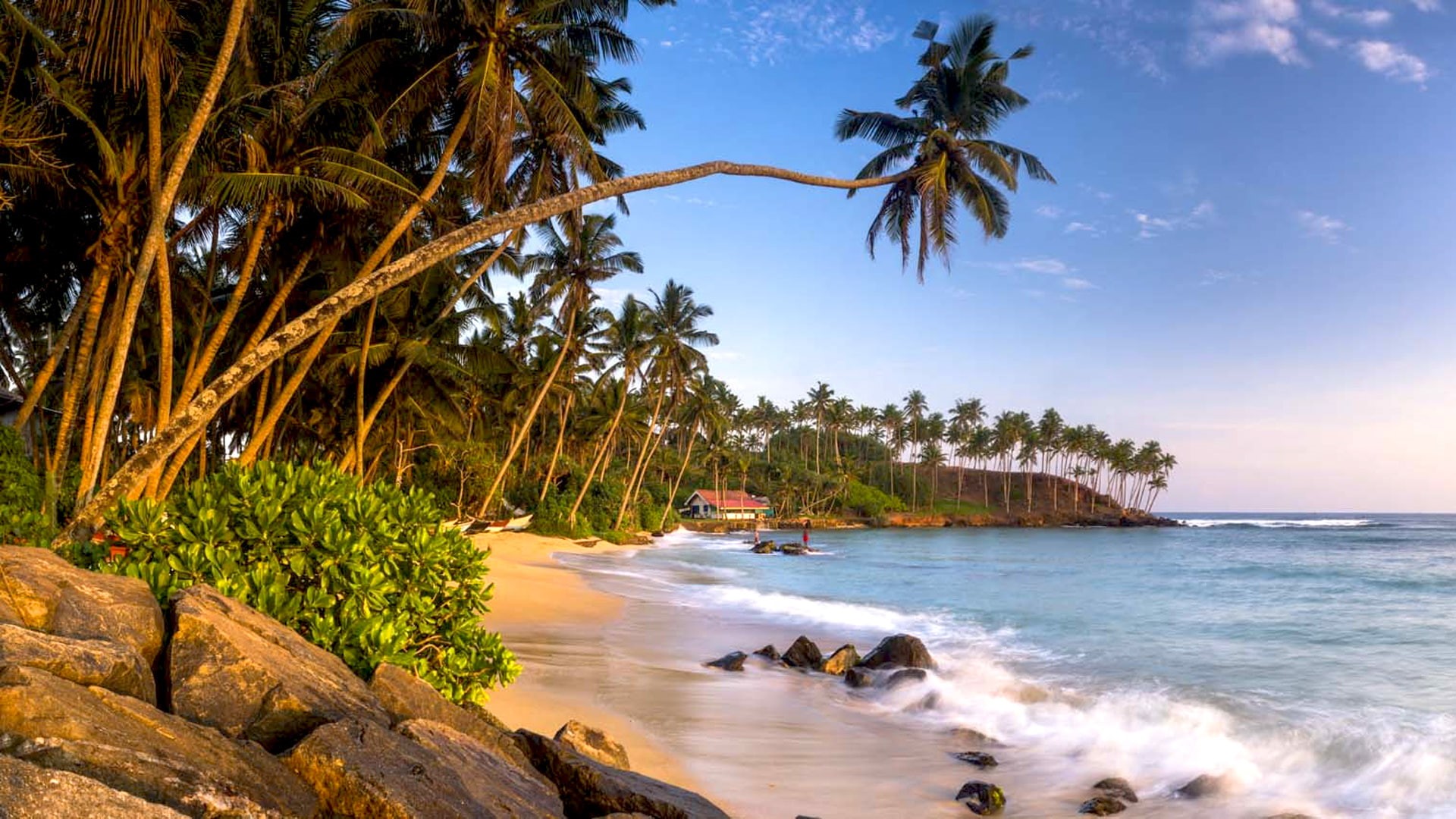 mirissa, south, tree, hd, southern, lanka, 1080P, ocean, sandy, palm, beach, sri, waves, coast, province, HD Wallpaper